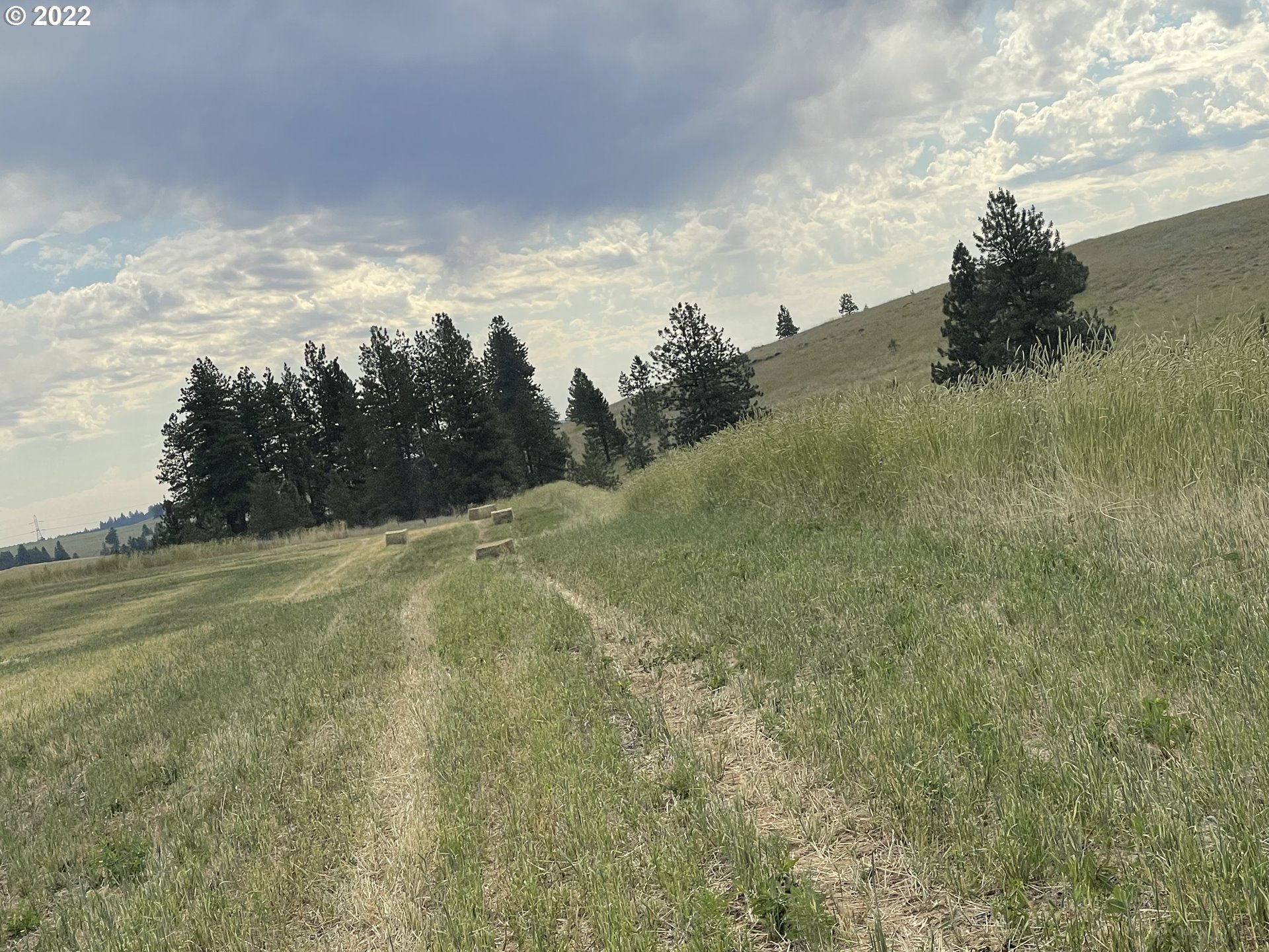 East Winterstein Road, Unit 3 Goldendale, WA 98620 - Photo 9 of 21 Gallery Image 9