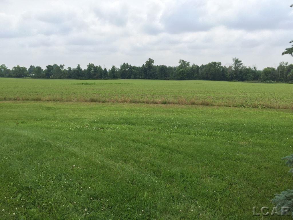 16095 Beecher Road Hudson, MI 49247 - Photo 5 of 19 31250021-4.JPG