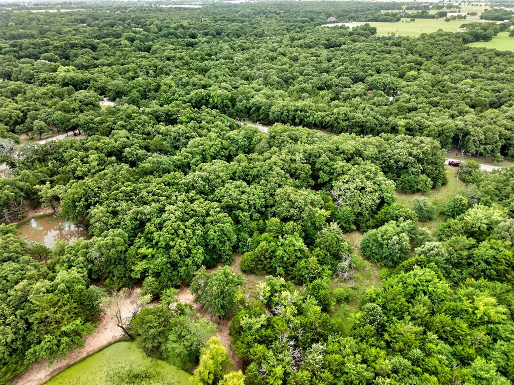 Tbd Woodland Estates Road Terrell, TX 75160 - Photo 9 of 22 a view of a large yard with plants and large trees