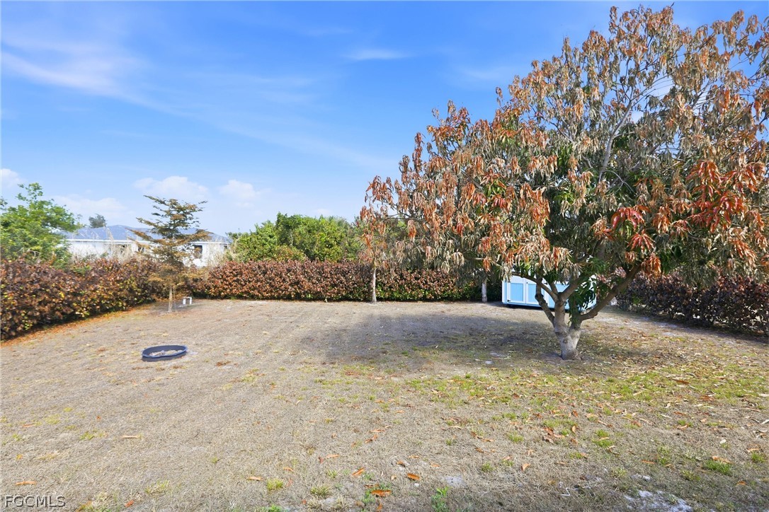 3404 2nd Street Southwest Lehigh Acres, FL 33976 - Photo 33 of 41 a view of a tree with an outdoor space