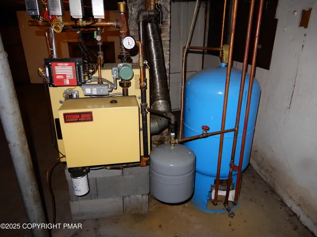 a view of a big yard with plants and large trees
