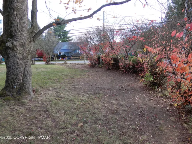 a view of outdoor space and yard