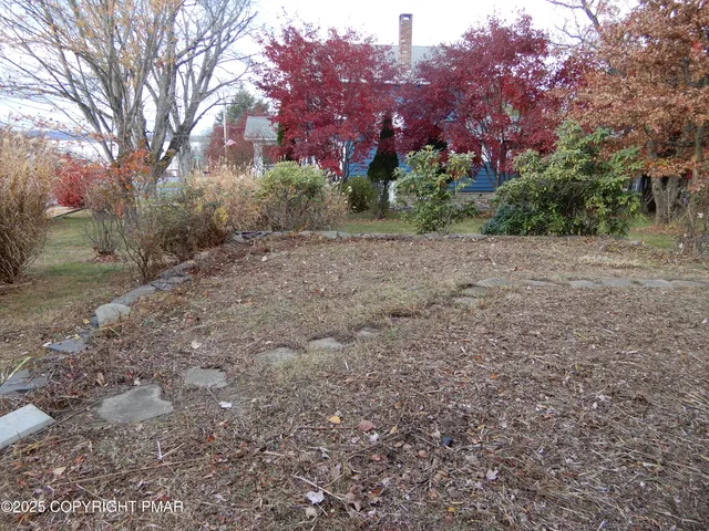 a view of yard with trees