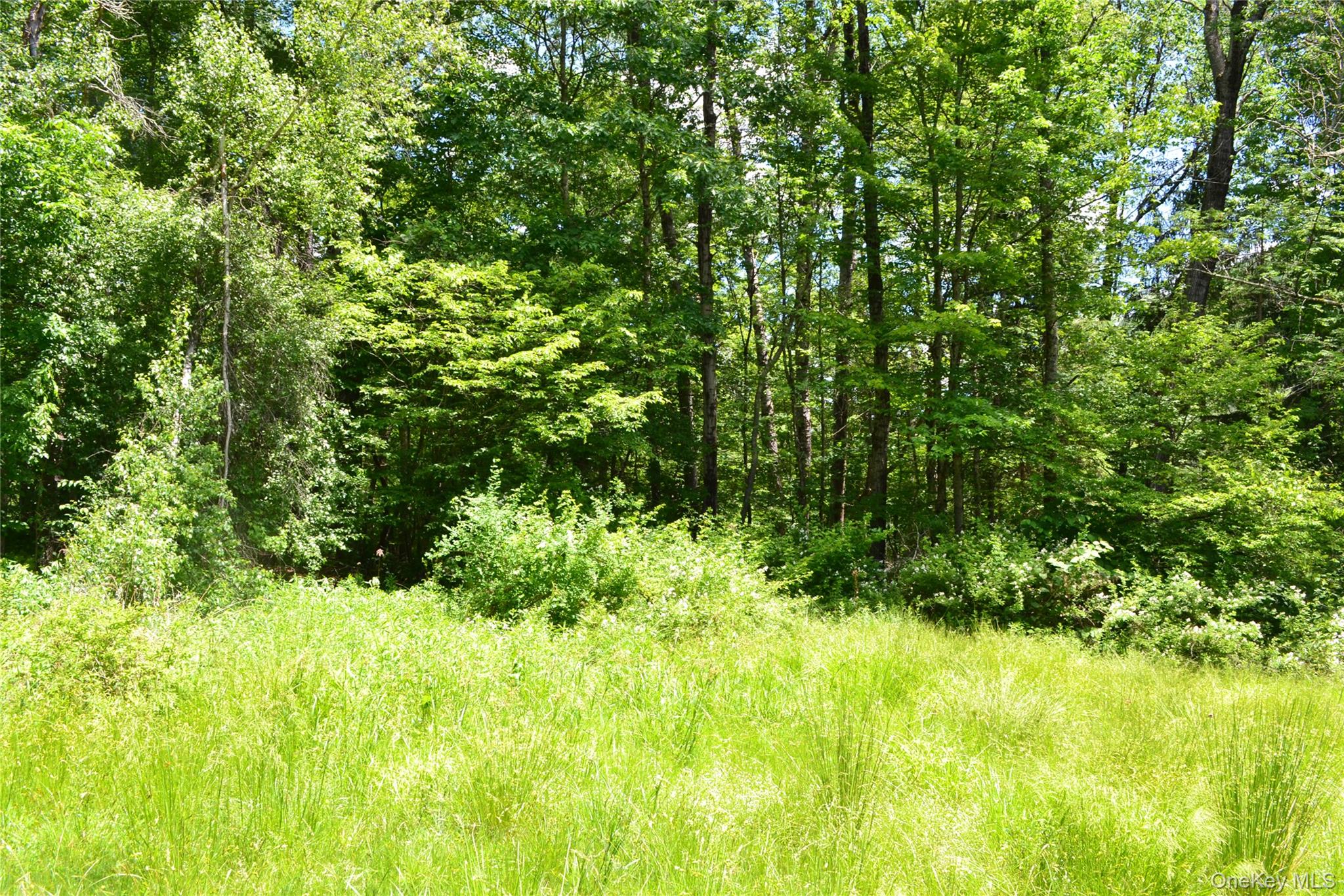549 Gavette Road Roscoe, NY 12776 - Photo 24 of 26 Level treed private yard