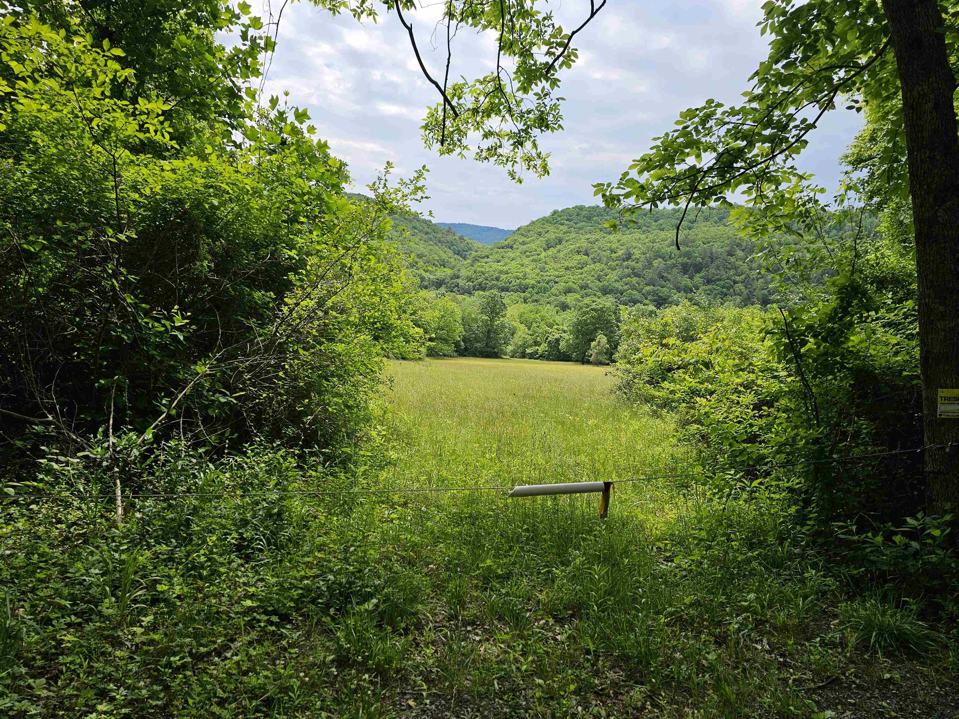 2105 Coles Mountain Road Covington, VA 24426 - Photo 45 of 66