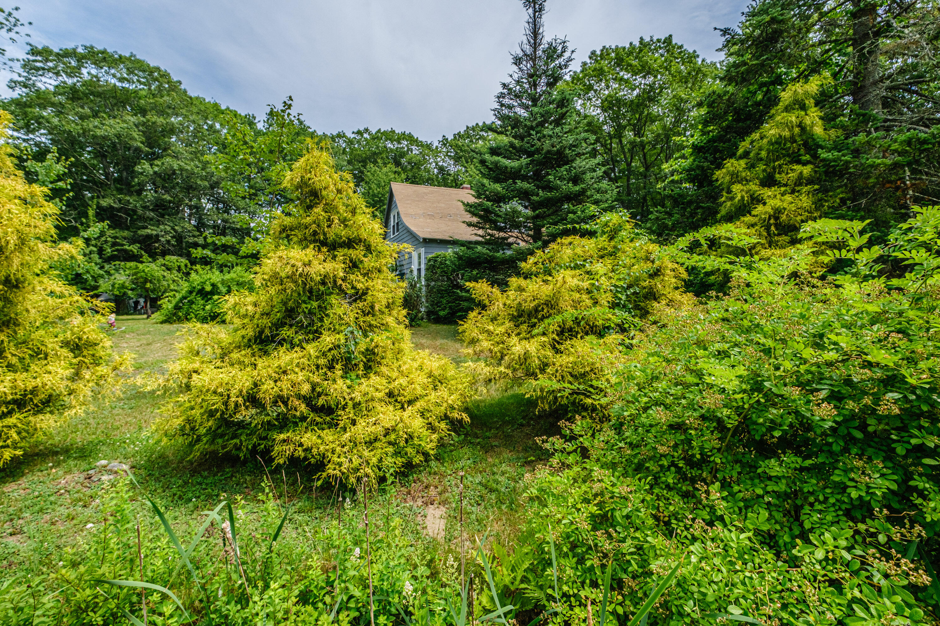 143 Broadturn Road Scarborough, ME 04074 - Photo 66 of 82 20250707gp-62061