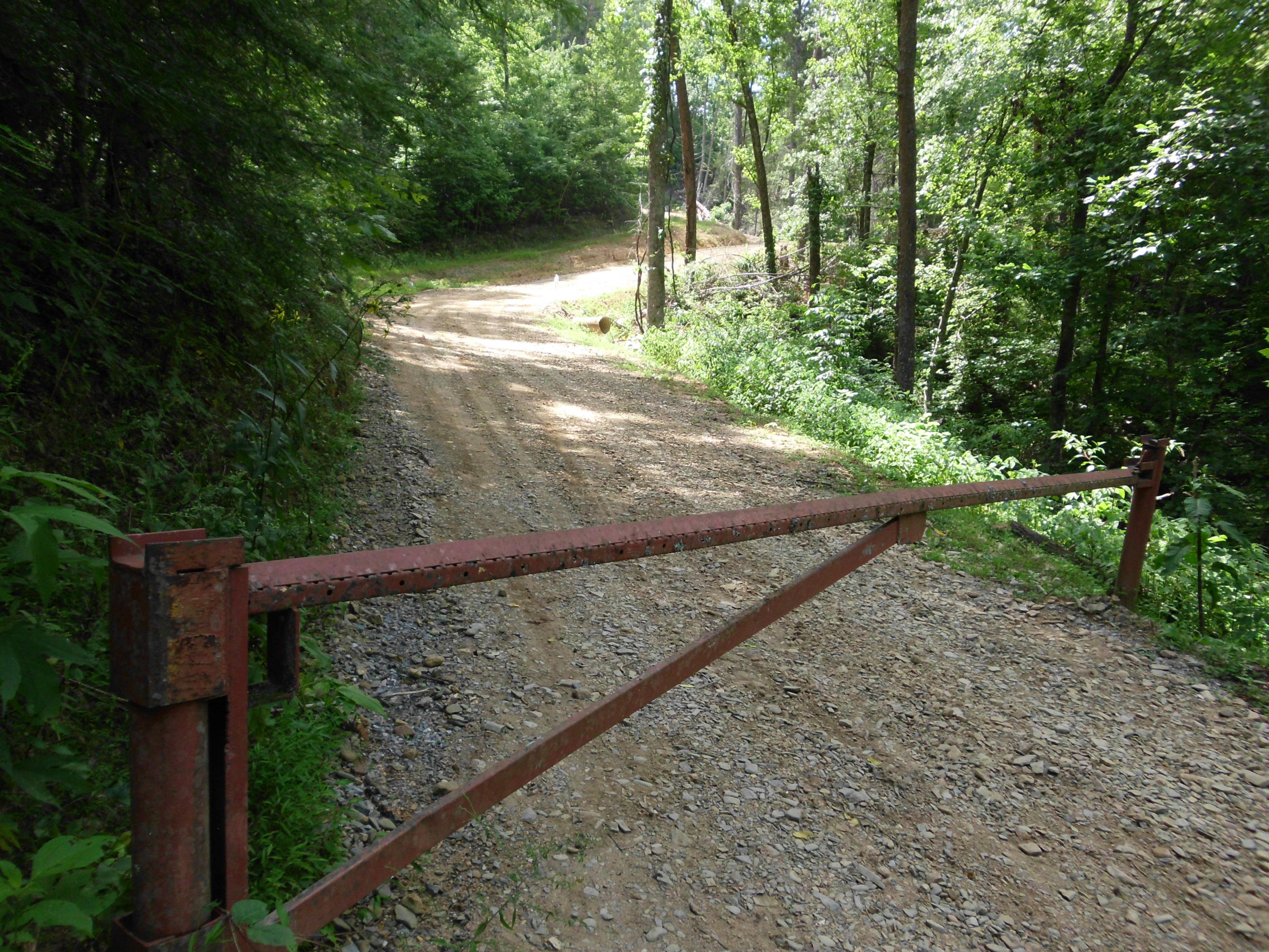 Tellico Reliance Road Tellico Plains, TN 37369 - Photo 1 of 17 SANY0015