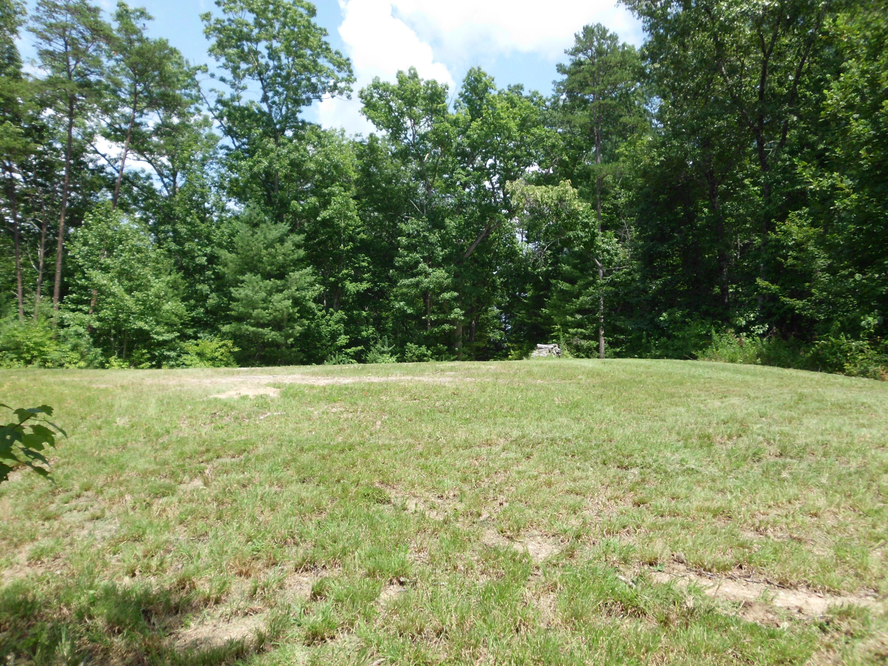 Tellico Reliance Road Tellico Plains, TN 37369 - Photo 11 of 17 SANY0011