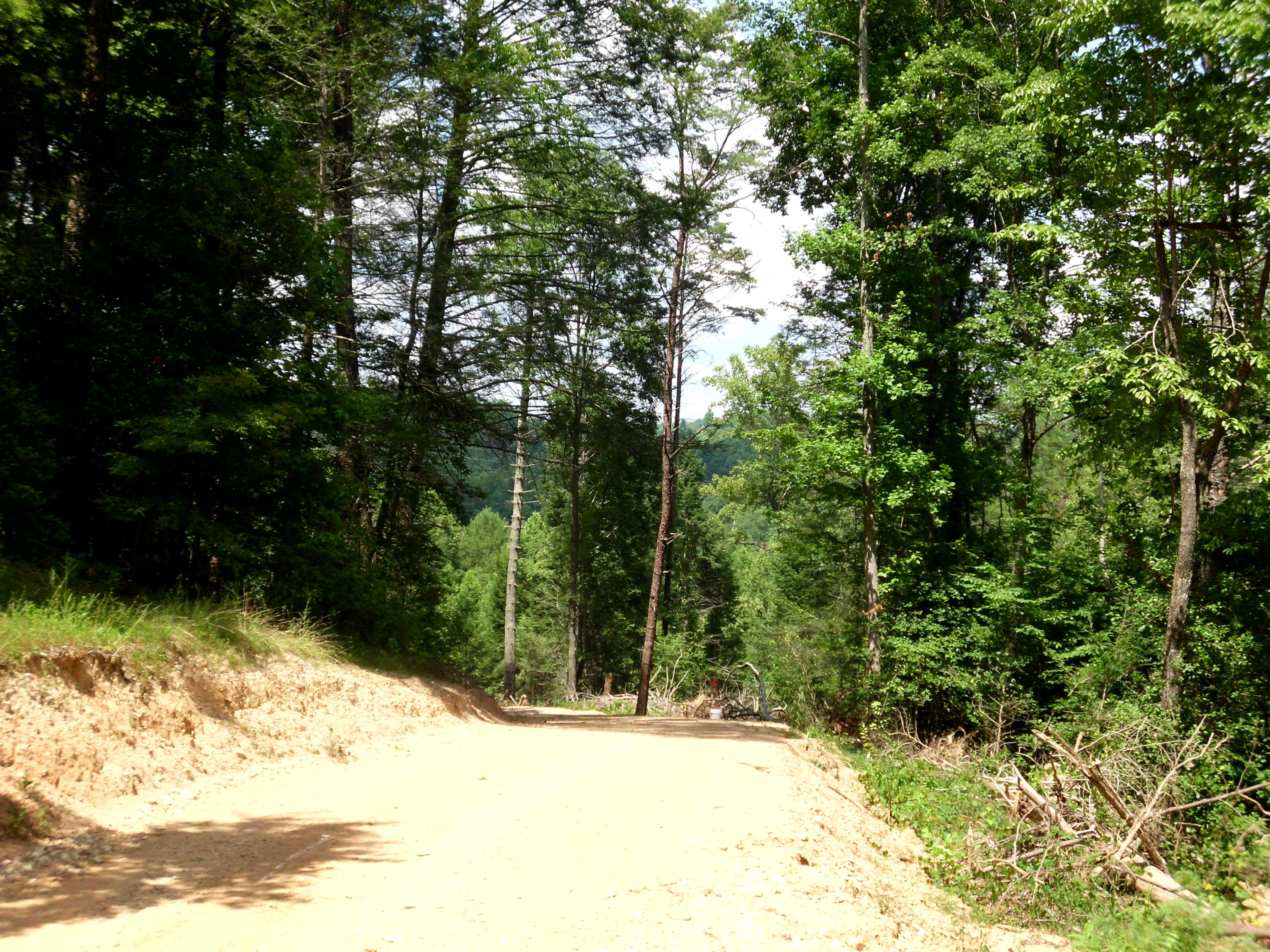 Tellico Reliance Road Tellico Plains, TN 37369 - Photo 14 of 17 SANY0014