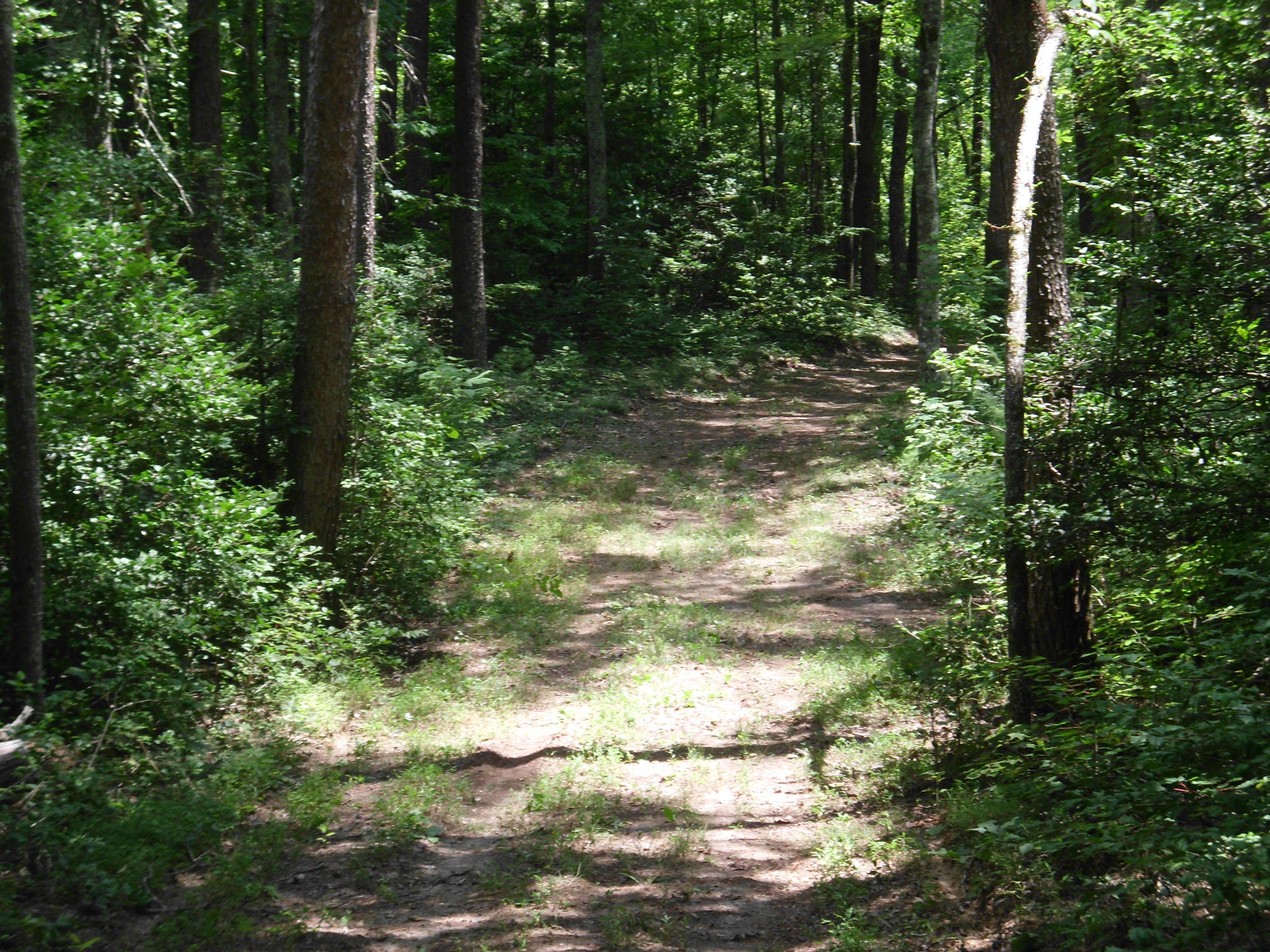 Tellico Reliance Road Tellico Plains, TN 37369 - Photo 3 of 17 SANY0003