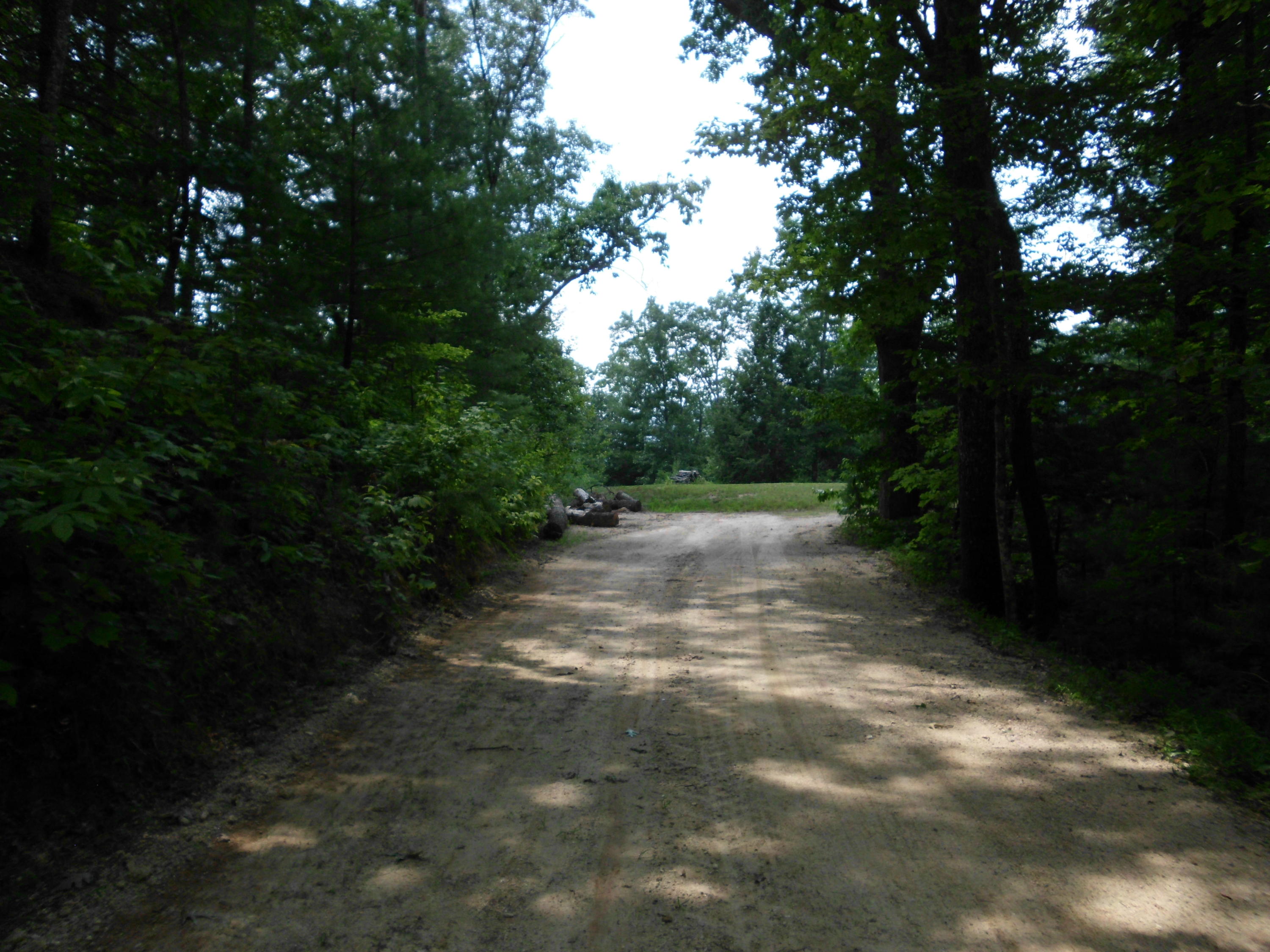 Tellico Reliance Road Tellico Plains, TN 37369 - Photo 7 of 17 SANY0007