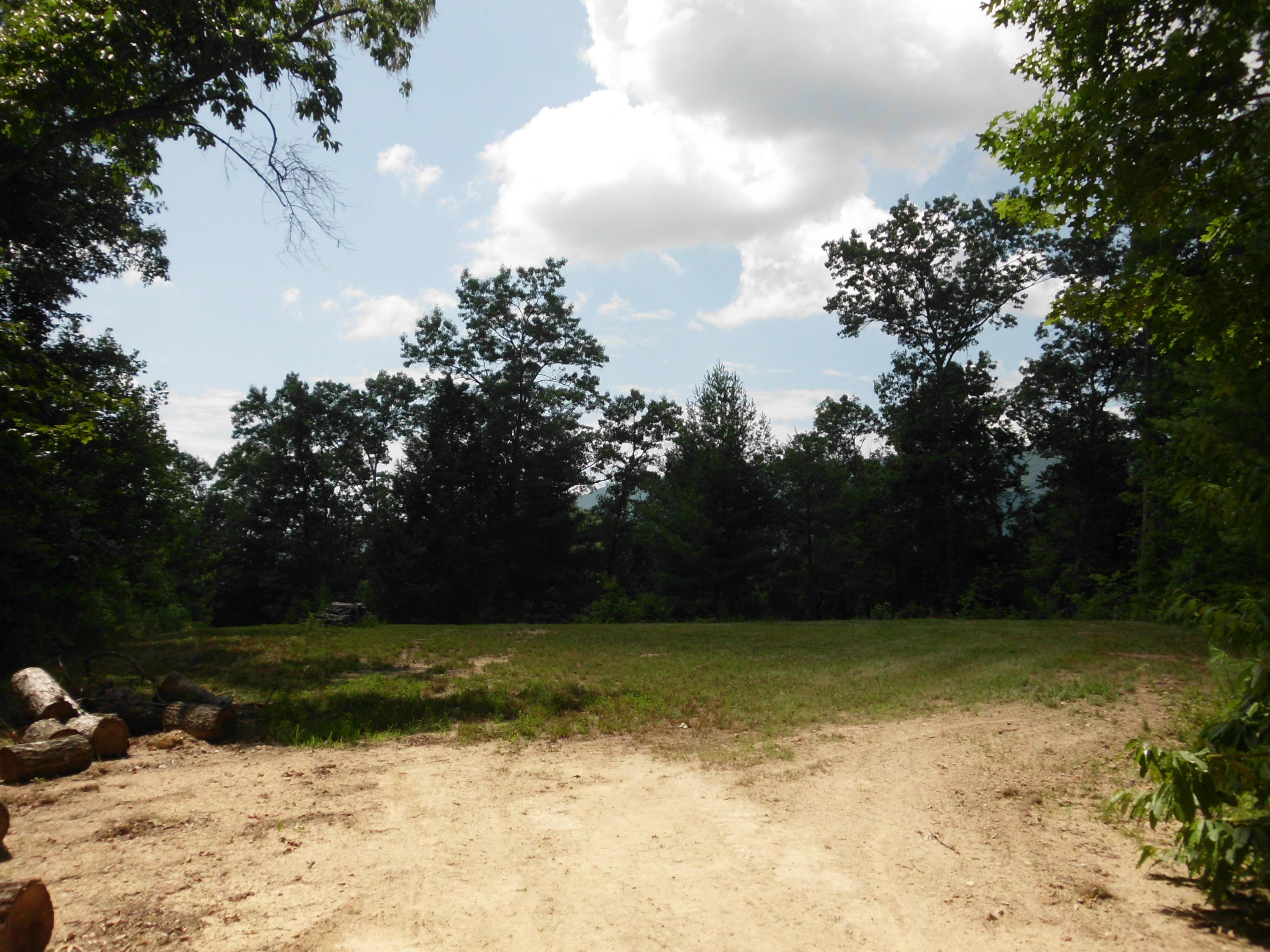Tellico Reliance Road Tellico Plains, TN 37369 - Photo 8 of 17 SANY0008