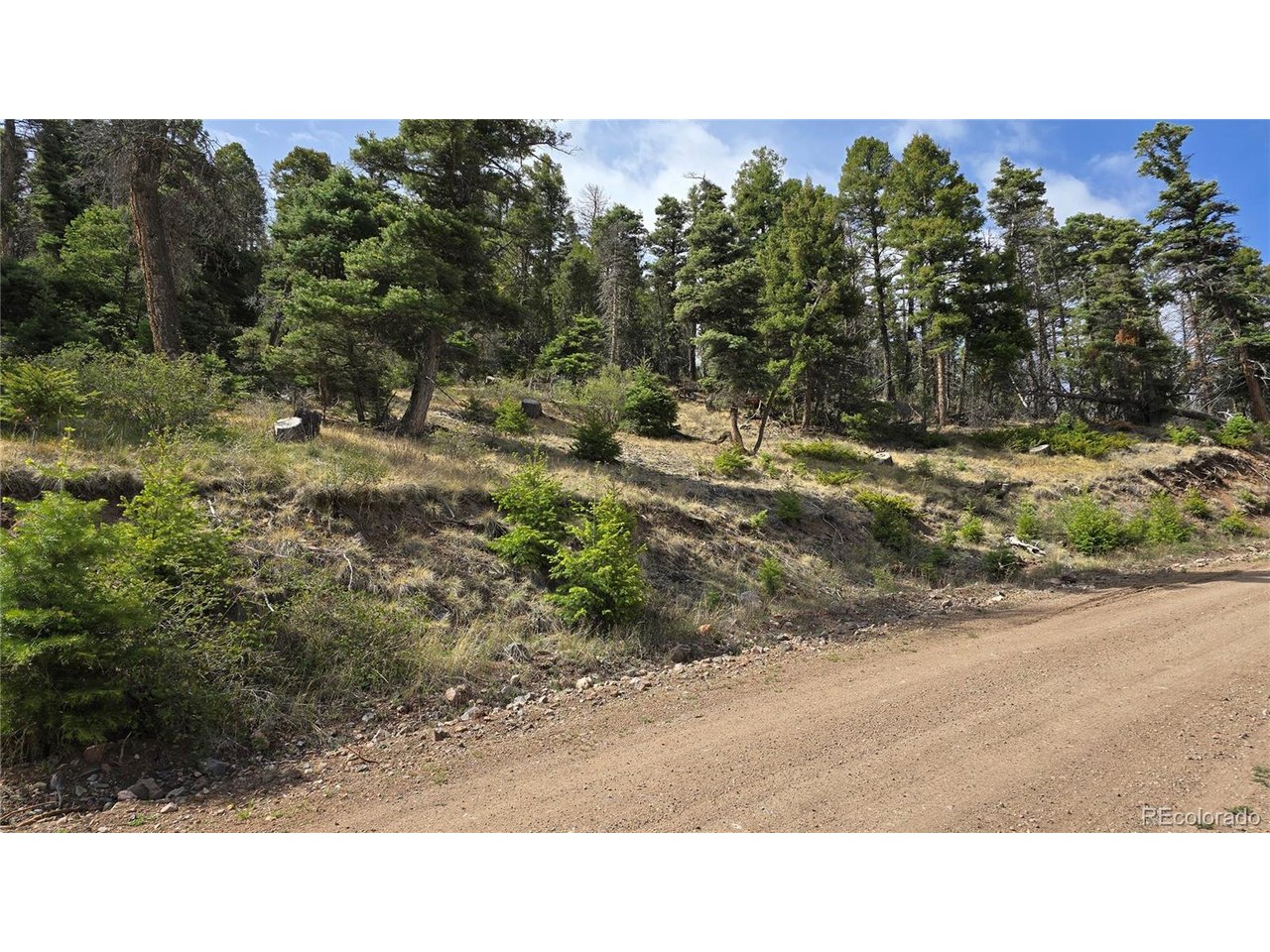 5505 Balleroy Road San Luis, CO 81152 - Photo 26 of 32