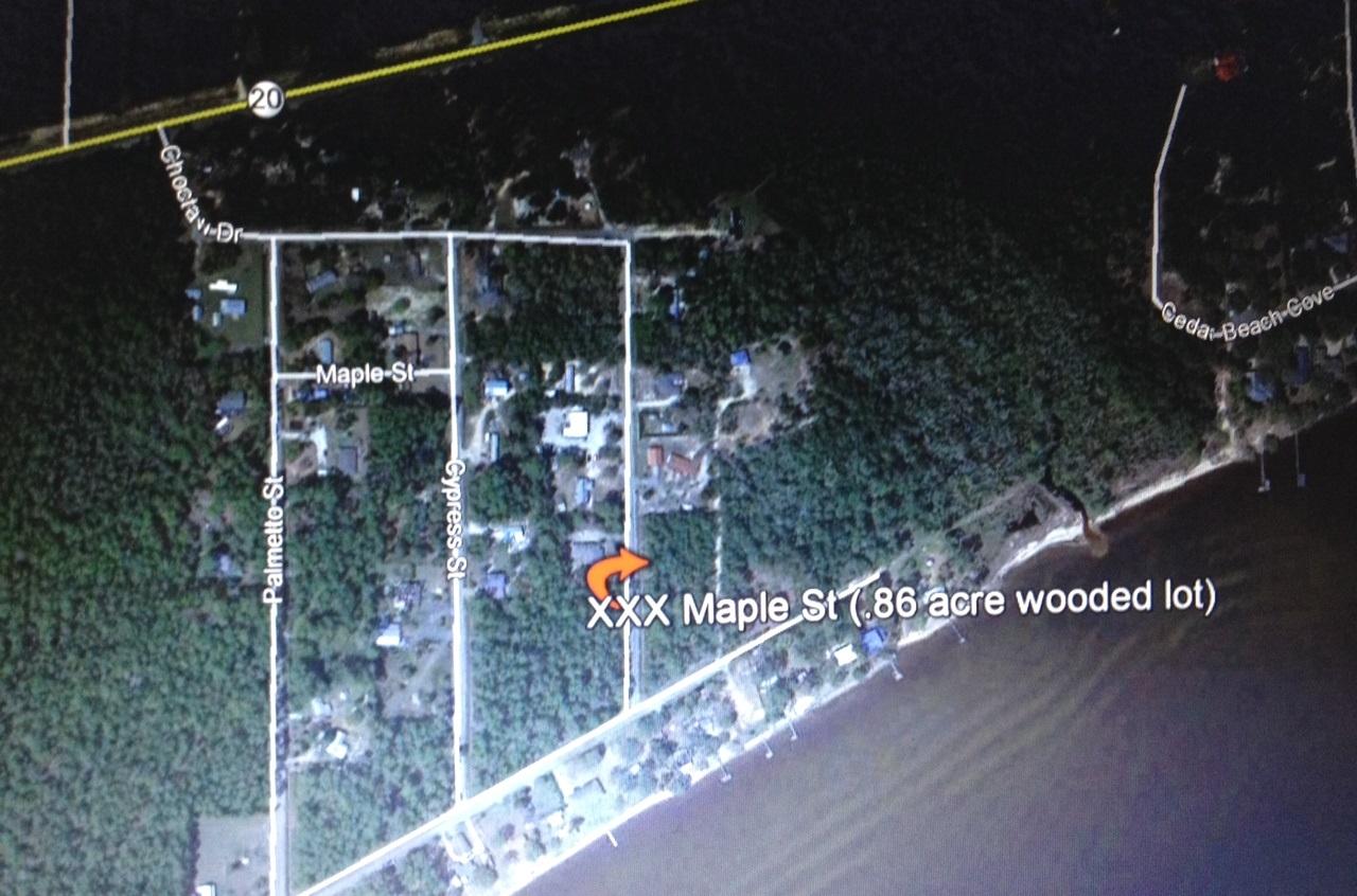 Xxx Maple Street Freeport, FL 32439 - Photo 1 of 1 Google Earth Map