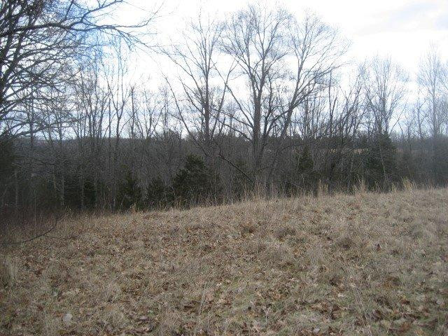 1234 Goose Creek Road Bagdad, KY 40003 - Photo 11 of 23 Photo 11