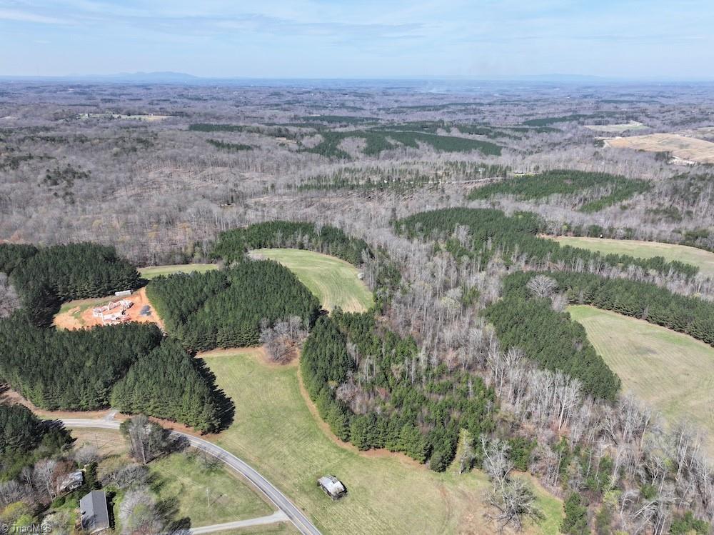 508 New Lebanon Church Road Reidsville, NC 27320 - Photo 2 of 35