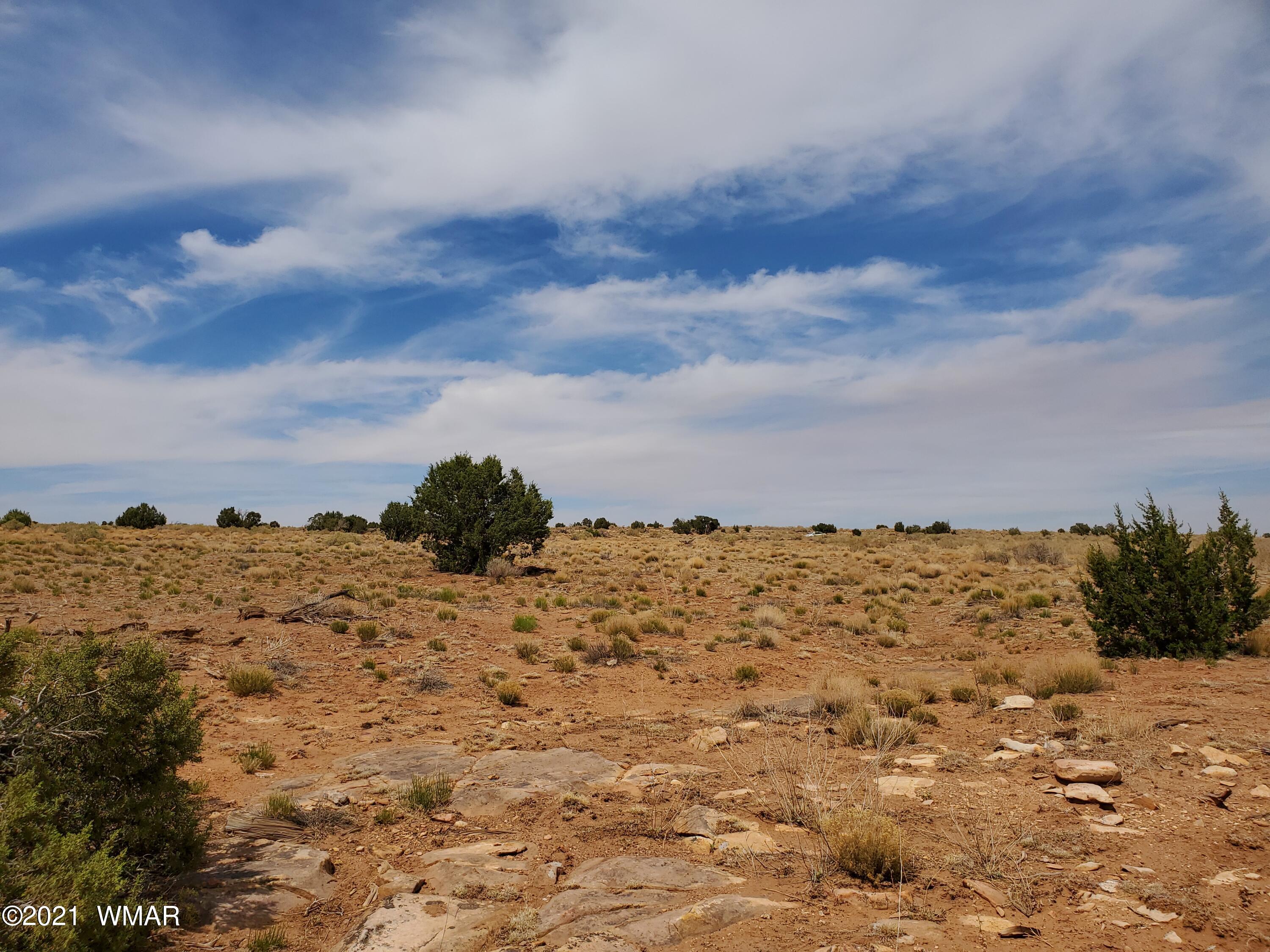 Lot 19 Ridgeview Ranch Drive Snowflake, AZ 85937 - Photo 2 of 5 a view of ocean