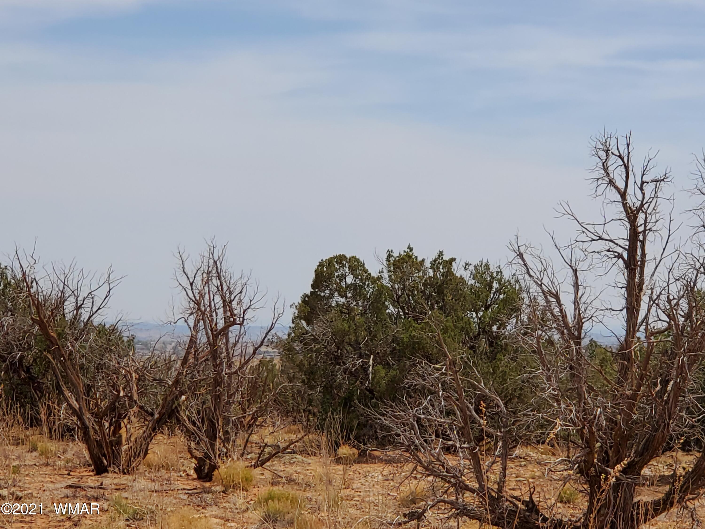 Lot 19 Ridgeview Ranch Drive Snowflake, AZ 85937 - Photo 5 of 5 a backyard of a house