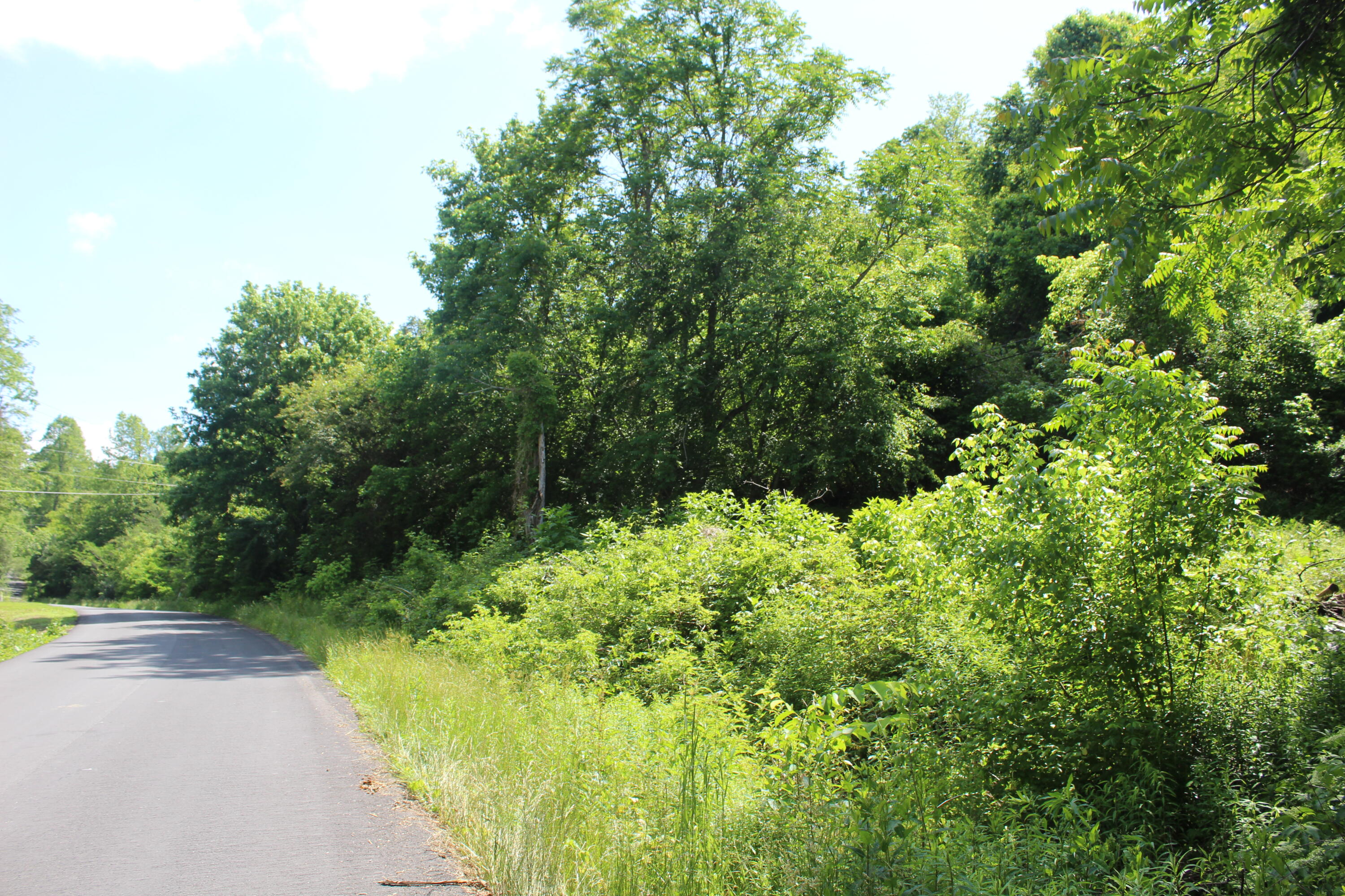 3532 Left Poor Valley Road Jonesville, VA 24263 - Photo 26 of 46 IMG_2834