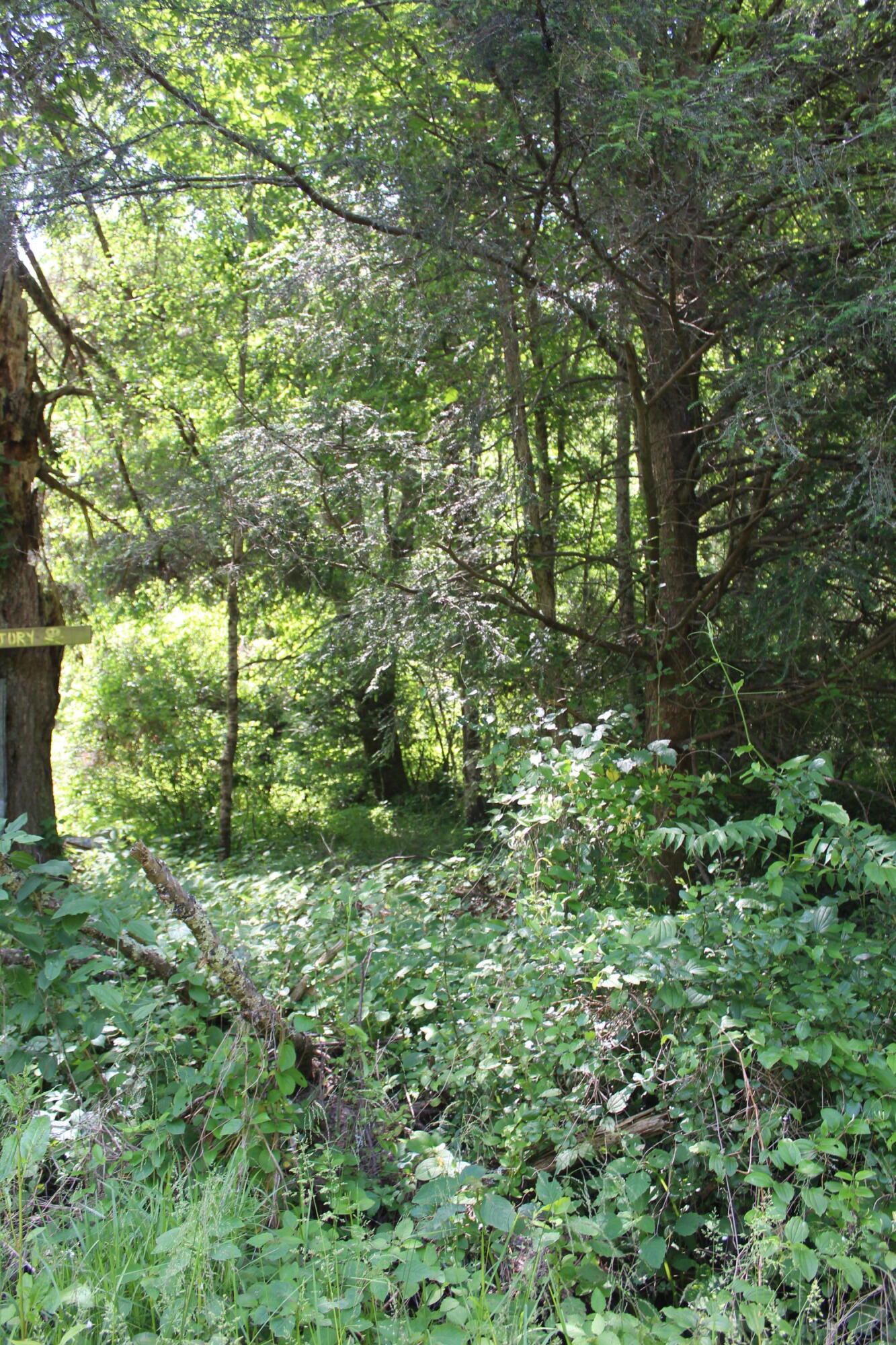 3532 Left Poor Valley Road Jonesville, VA 24263 - Photo 27 of 46 IMG_2835