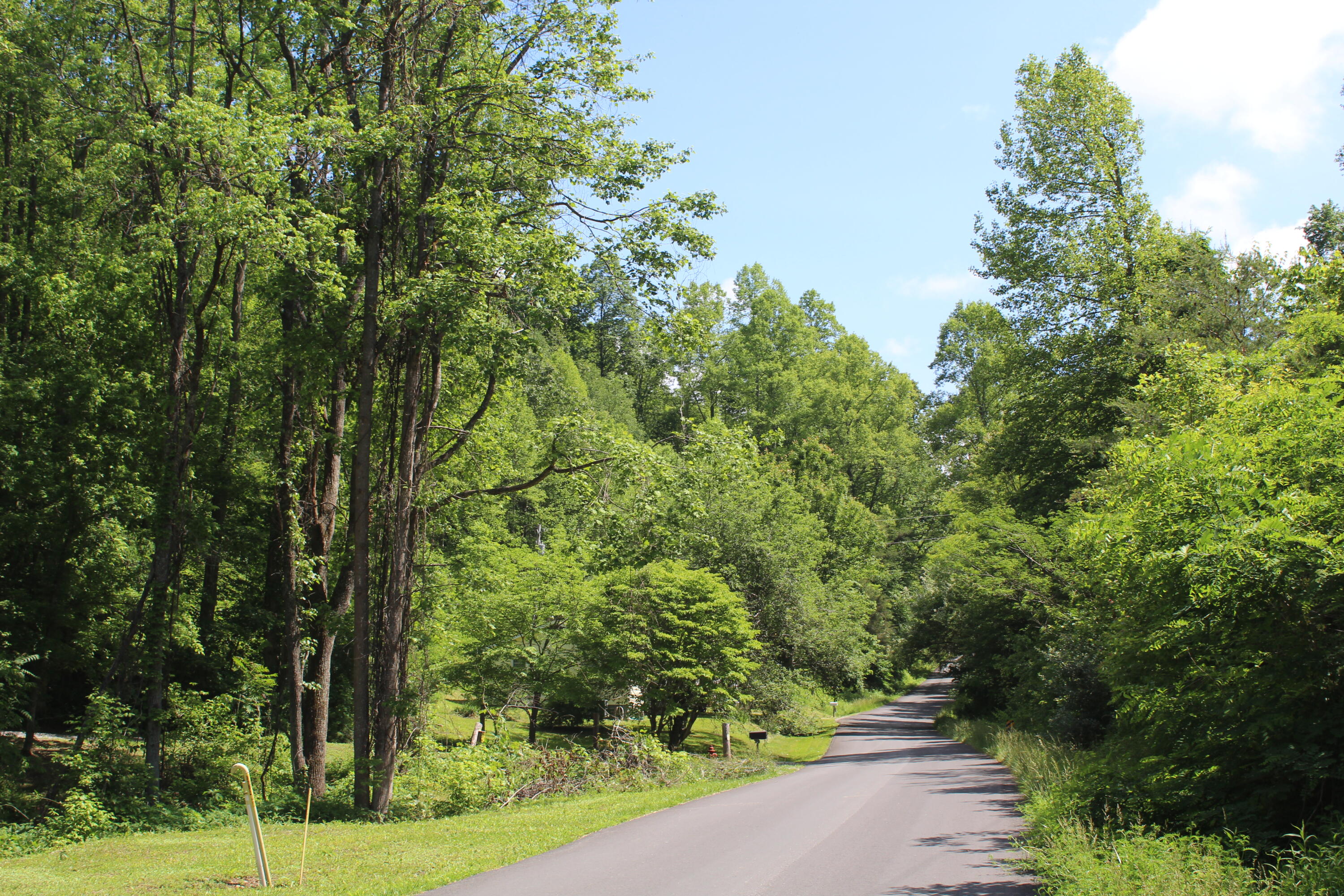 3532 Left Poor Valley Road Jonesville, VA 24263 - Photo 30 of 46 IMG_2838