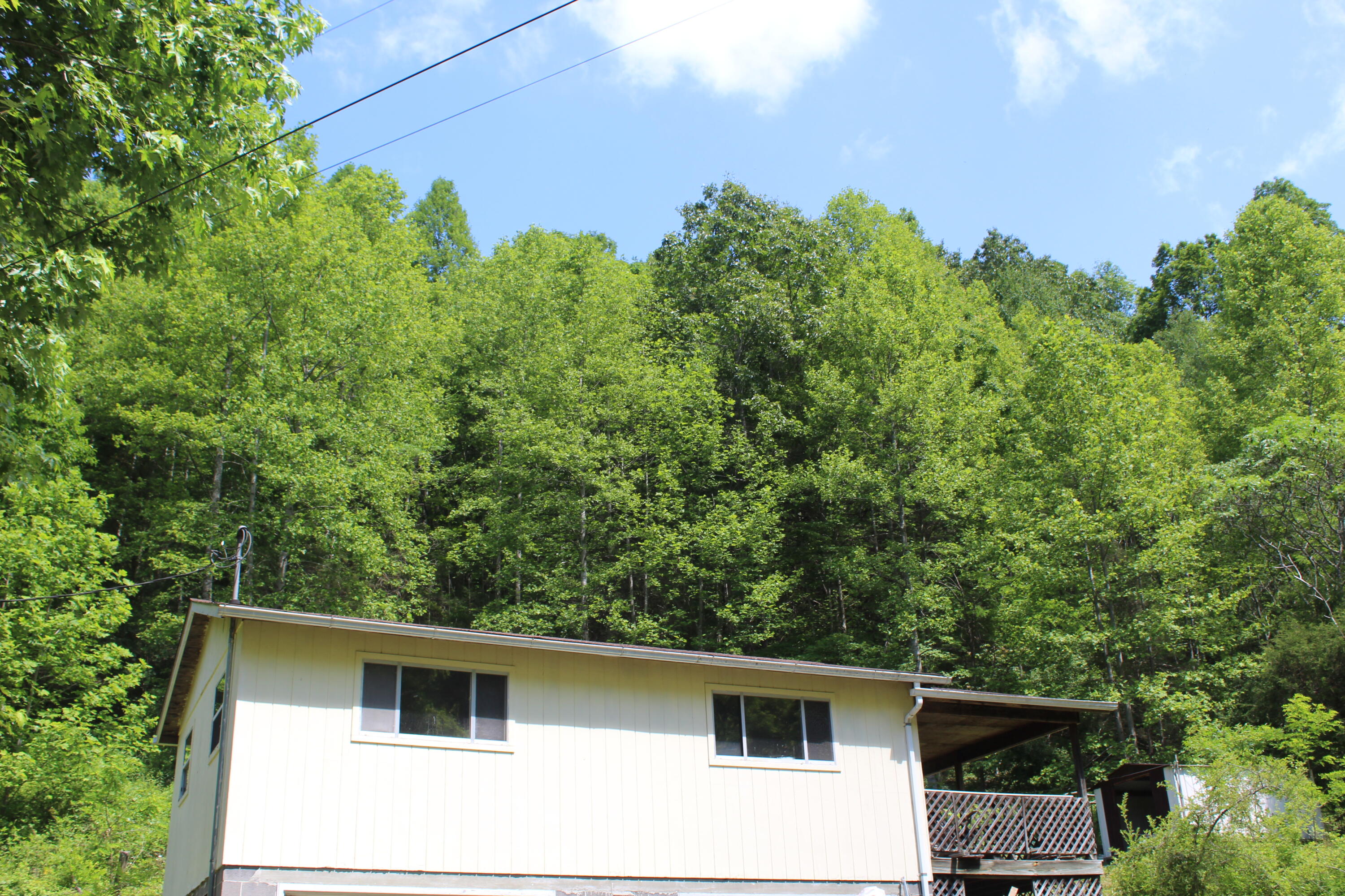 3532 Left Poor Valley Road Jonesville, VA 24263 - Photo 35 of 46 IMG_2843