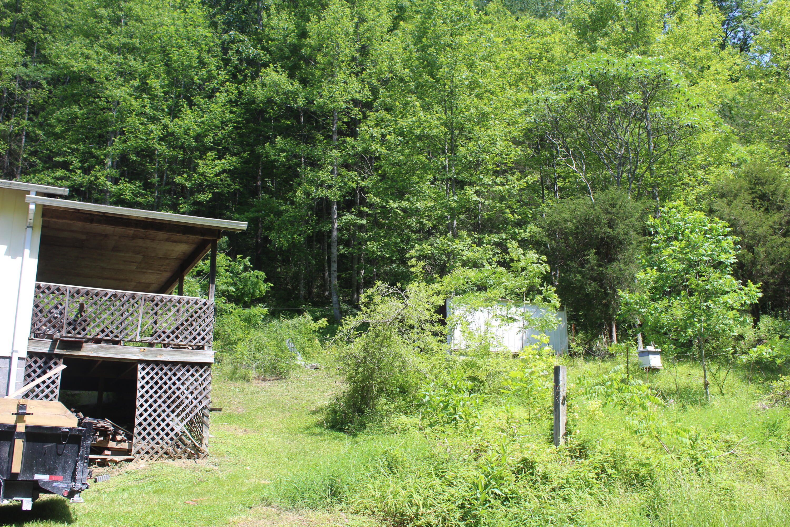 3532 Left Poor Valley Road Jonesville, VA 24263 - Photo 36 of 46 IMG_2844