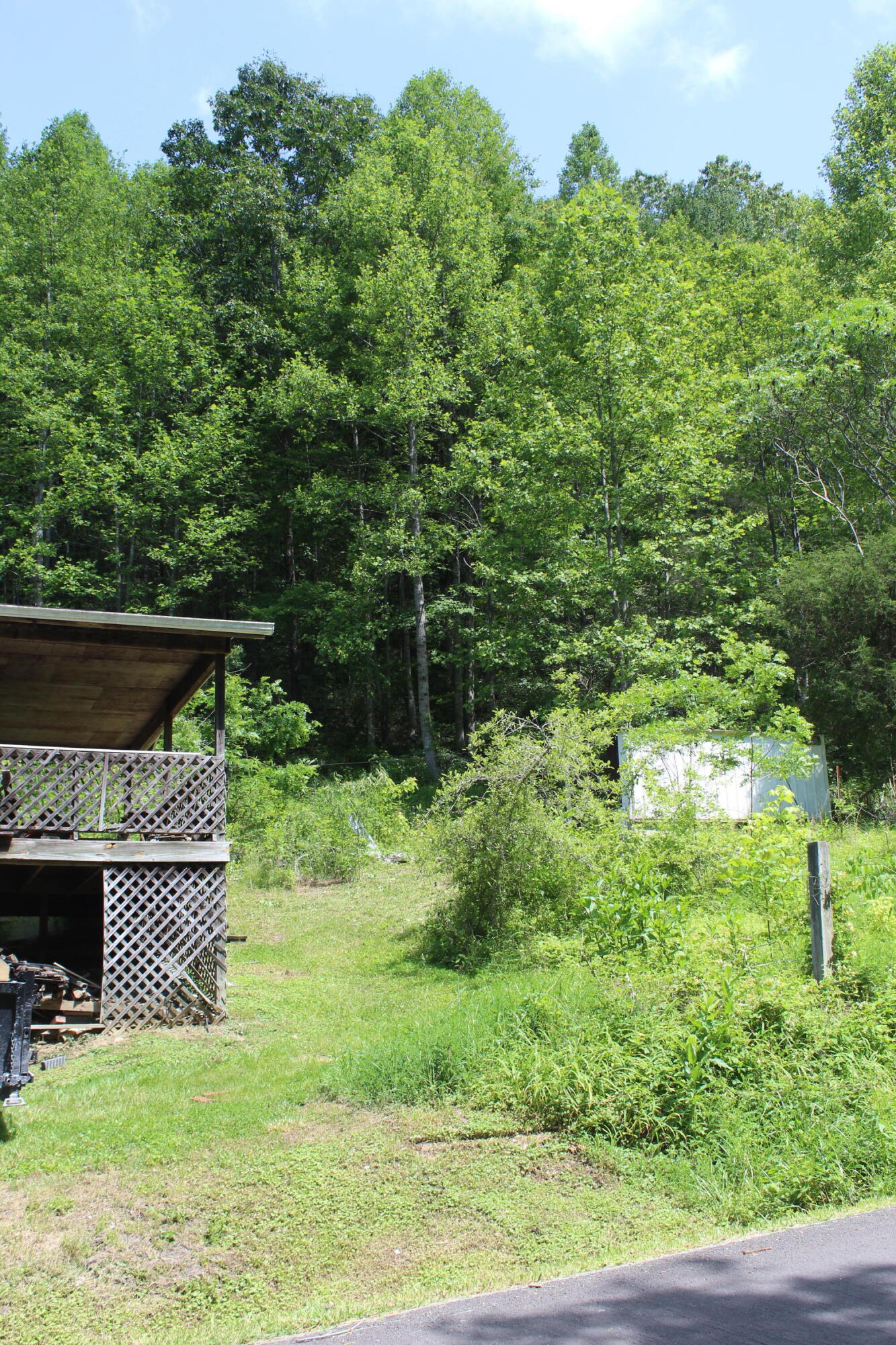 3532 Left Poor Valley Road Jonesville, VA 24263 - Photo 37 of 46 IMG_2845