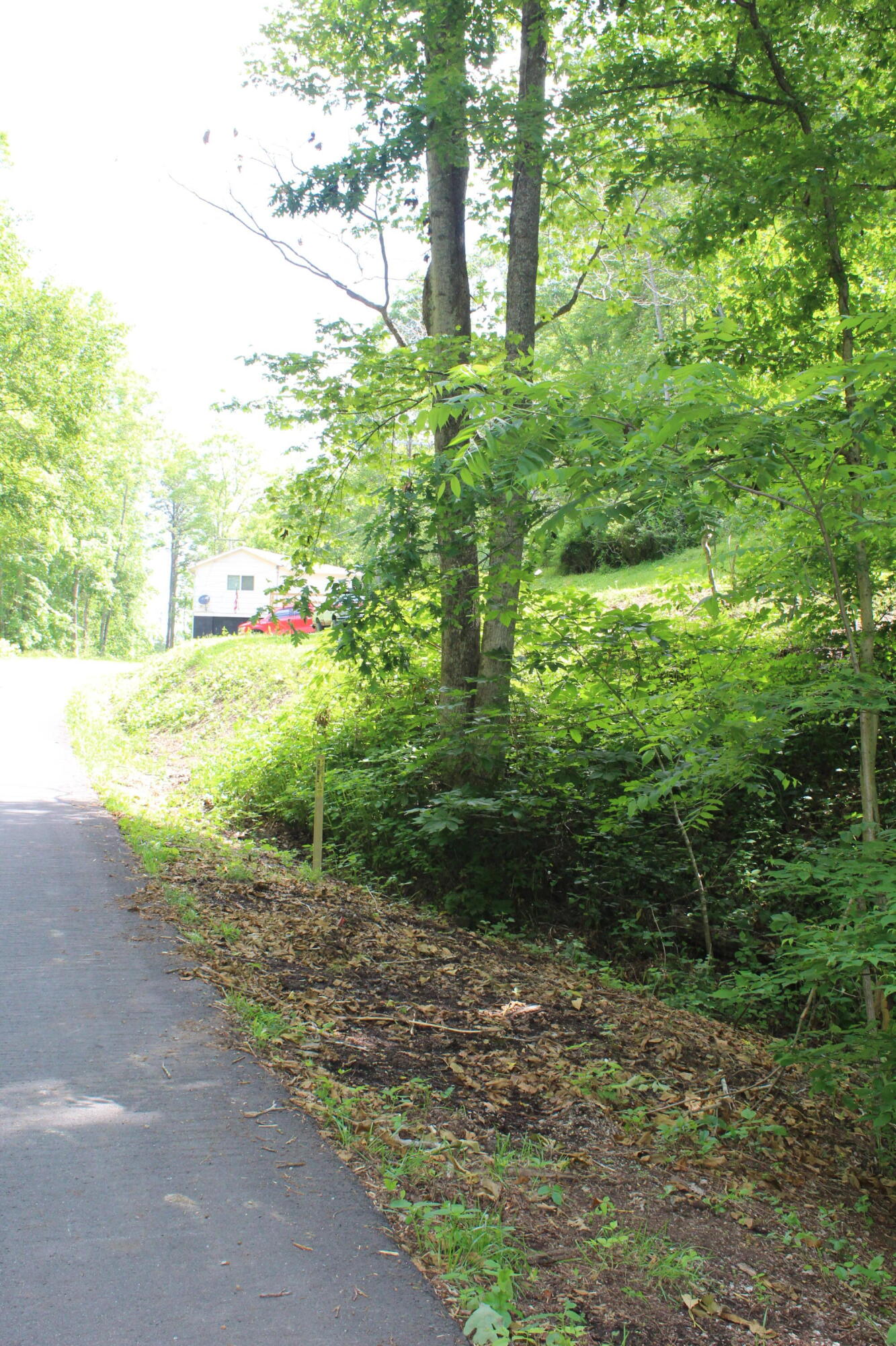 3532 Left Poor Valley Road Jonesville, VA 24263 - Photo 42 of 46 IMG_2850