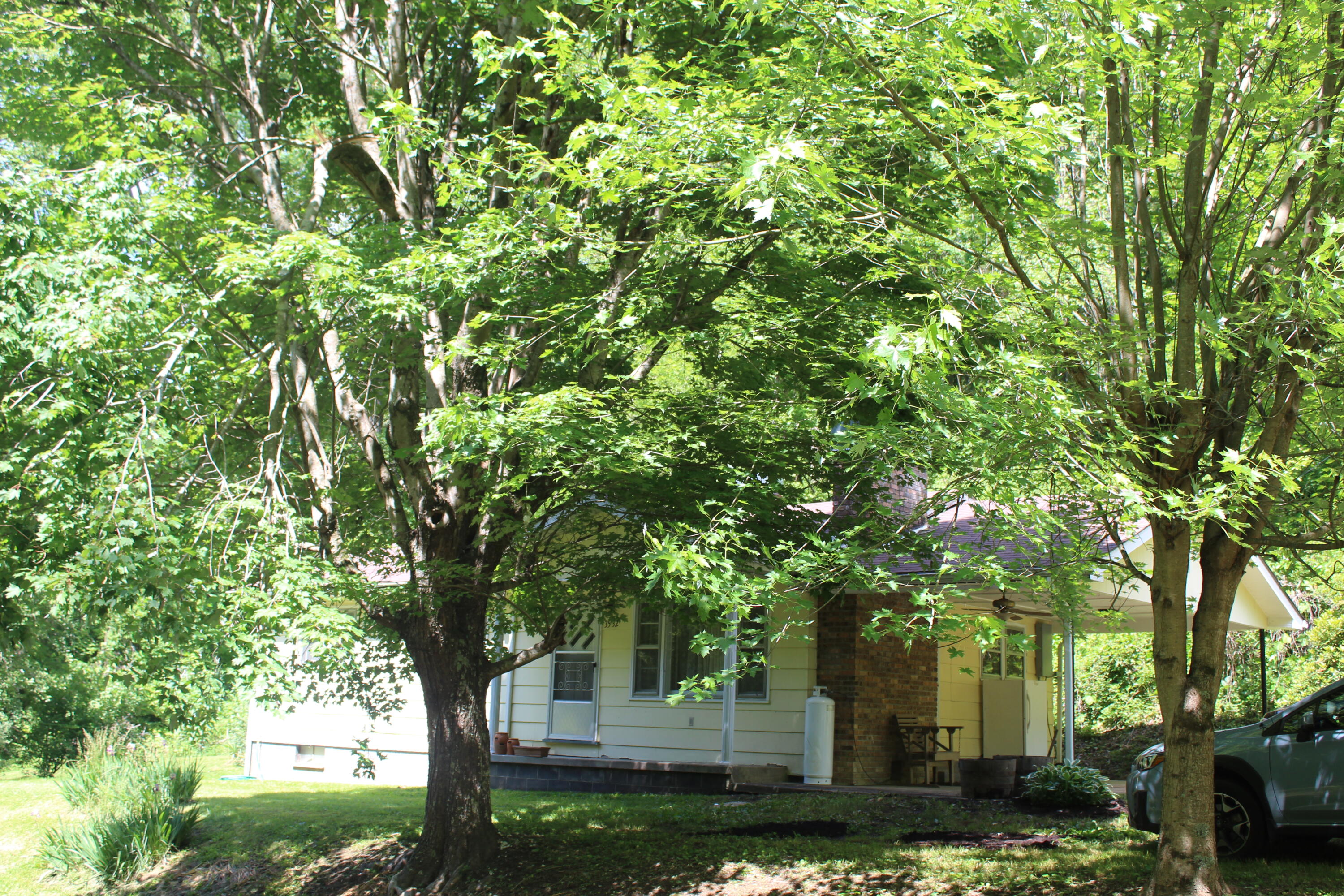 3532 Left Poor Valley Road Jonesville, VA 24263 - Photo 7 of 46 IMG_2824