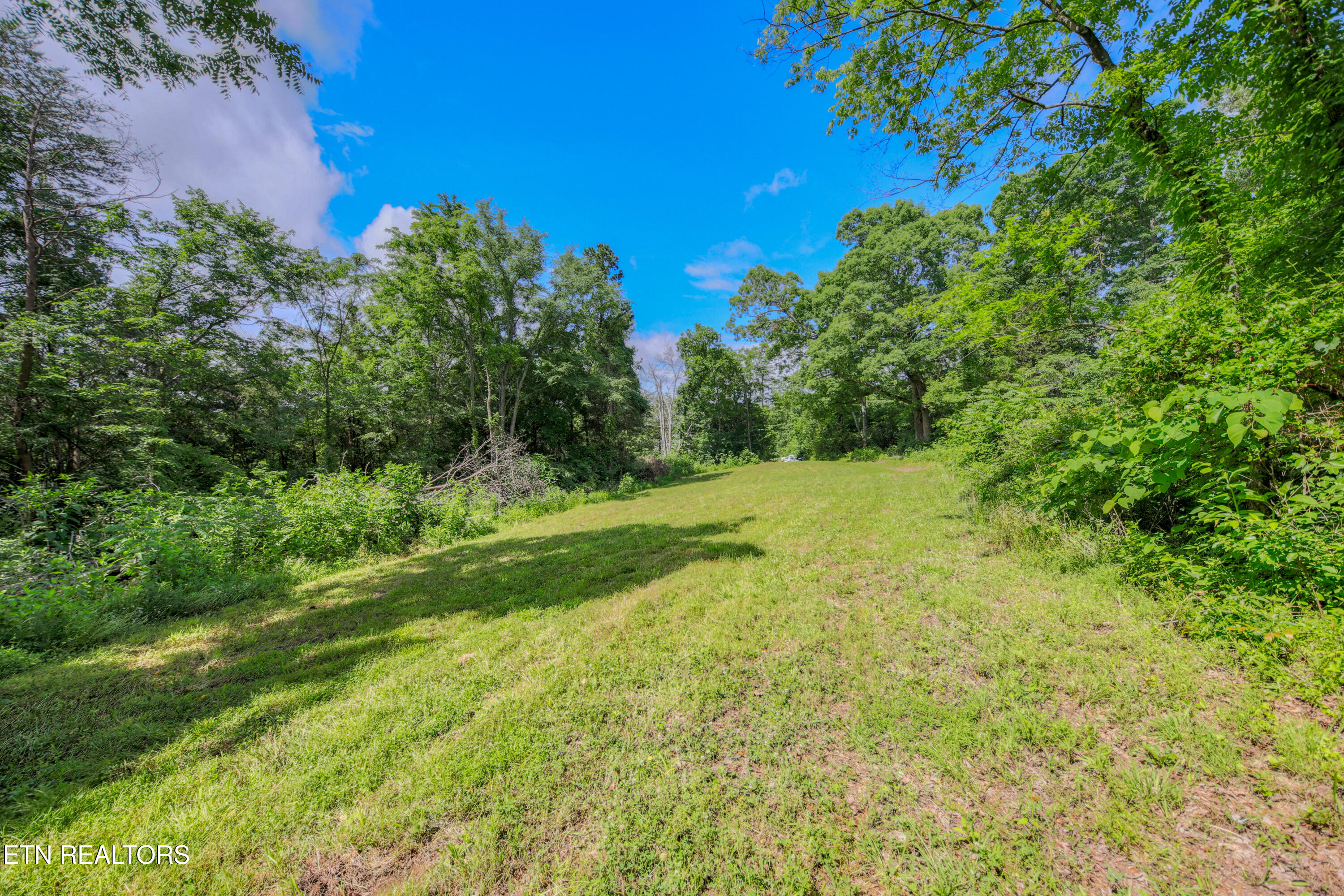 1110 Dalton Road Dandridge, TN 37725 - Photo 57 of 57 0H3A8242_128