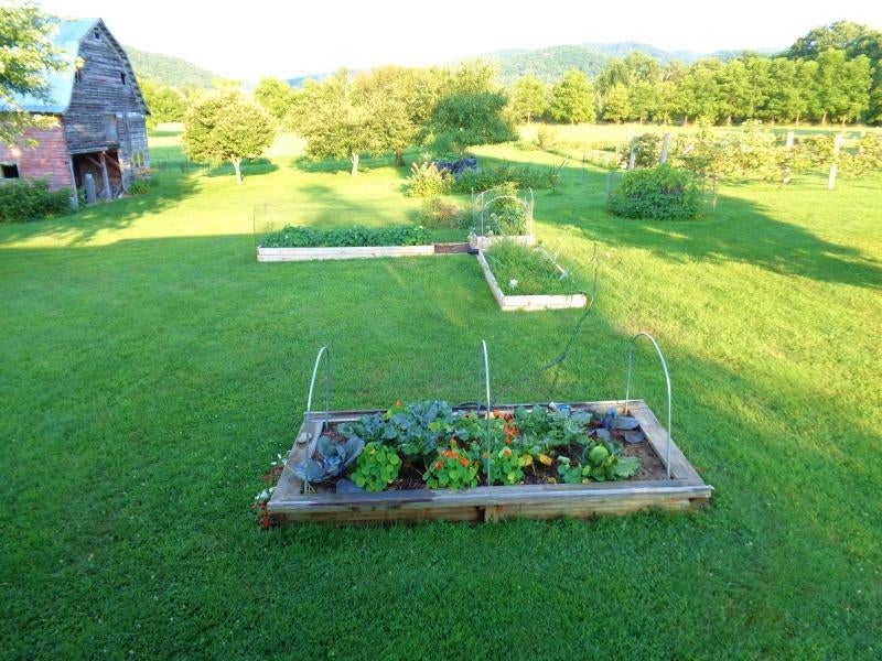 853 Back Draft Road Green Bank, WV 24944 - Photo 62 of 97 Gallery Image 62