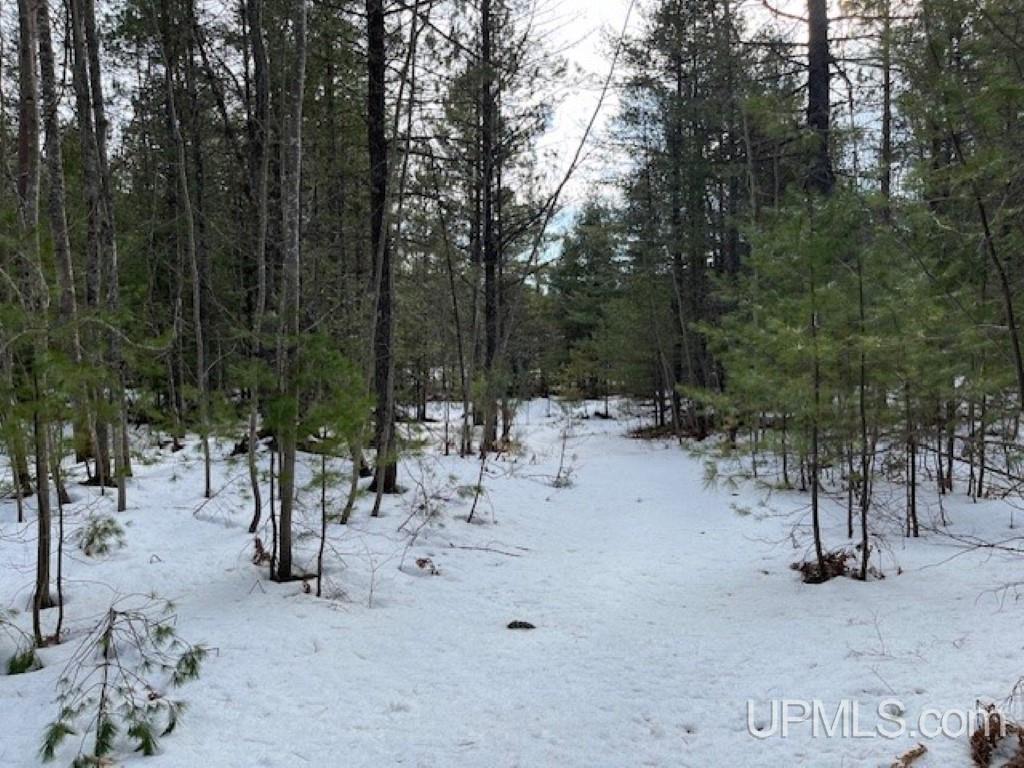 Lot 7 Powell Lake Road Wetmore, MI 49895 - Photo 11 of 16