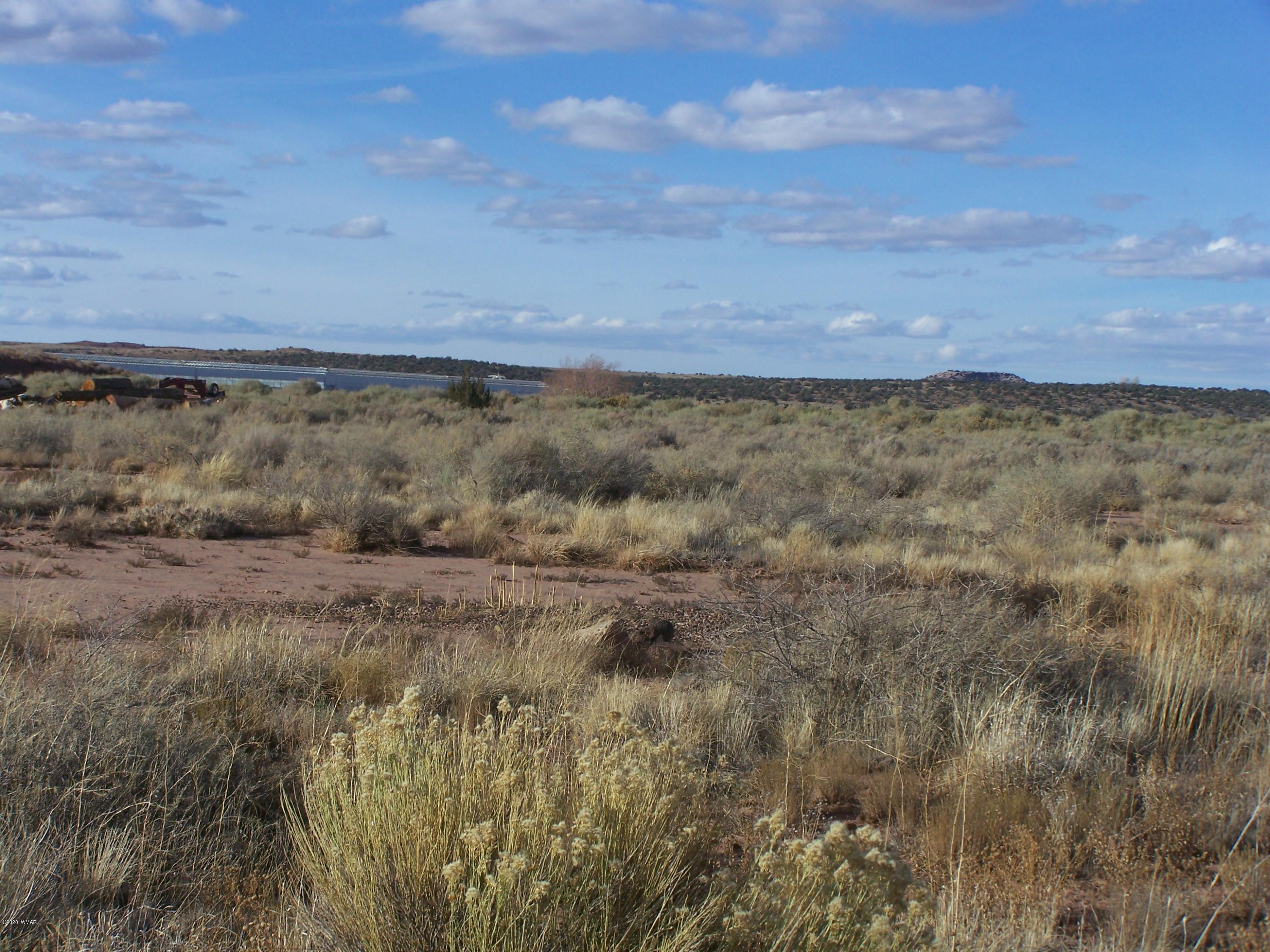 Tbdj Rutledge Drive Snowflake, AZ 85937 - Photo 2 of 2