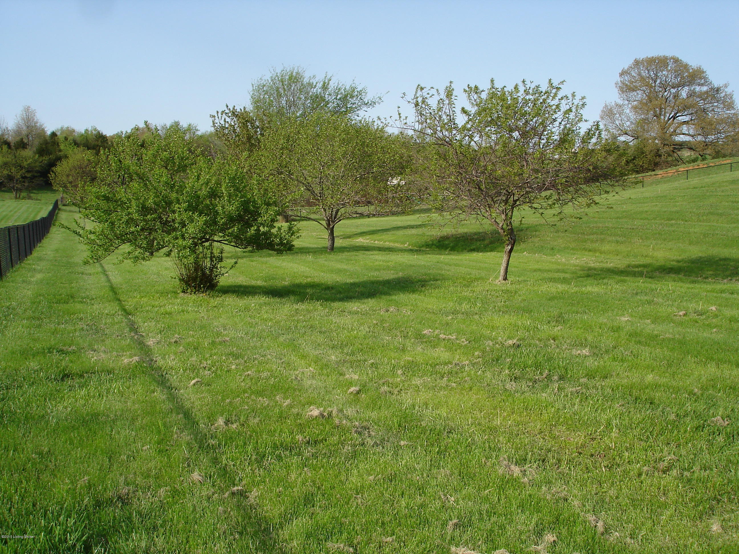 185 Chase Lake Road Rineyville, KY 40162 - Photo 53 of 55 DSC02579