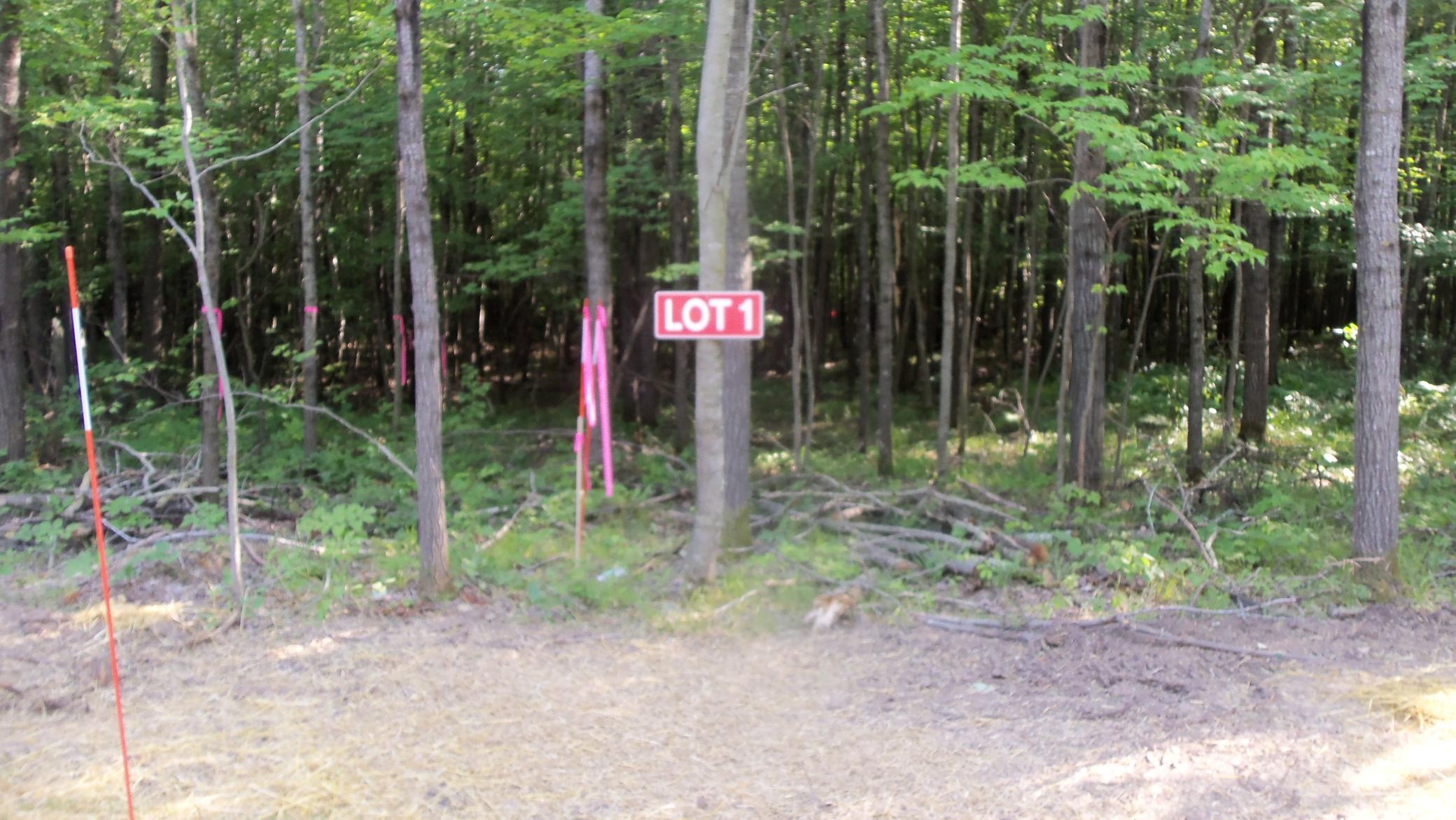 Lot 1 Aspen Ridge Trail Webster, WI 54893 - Photo 1 of 1 Gallery Image 1