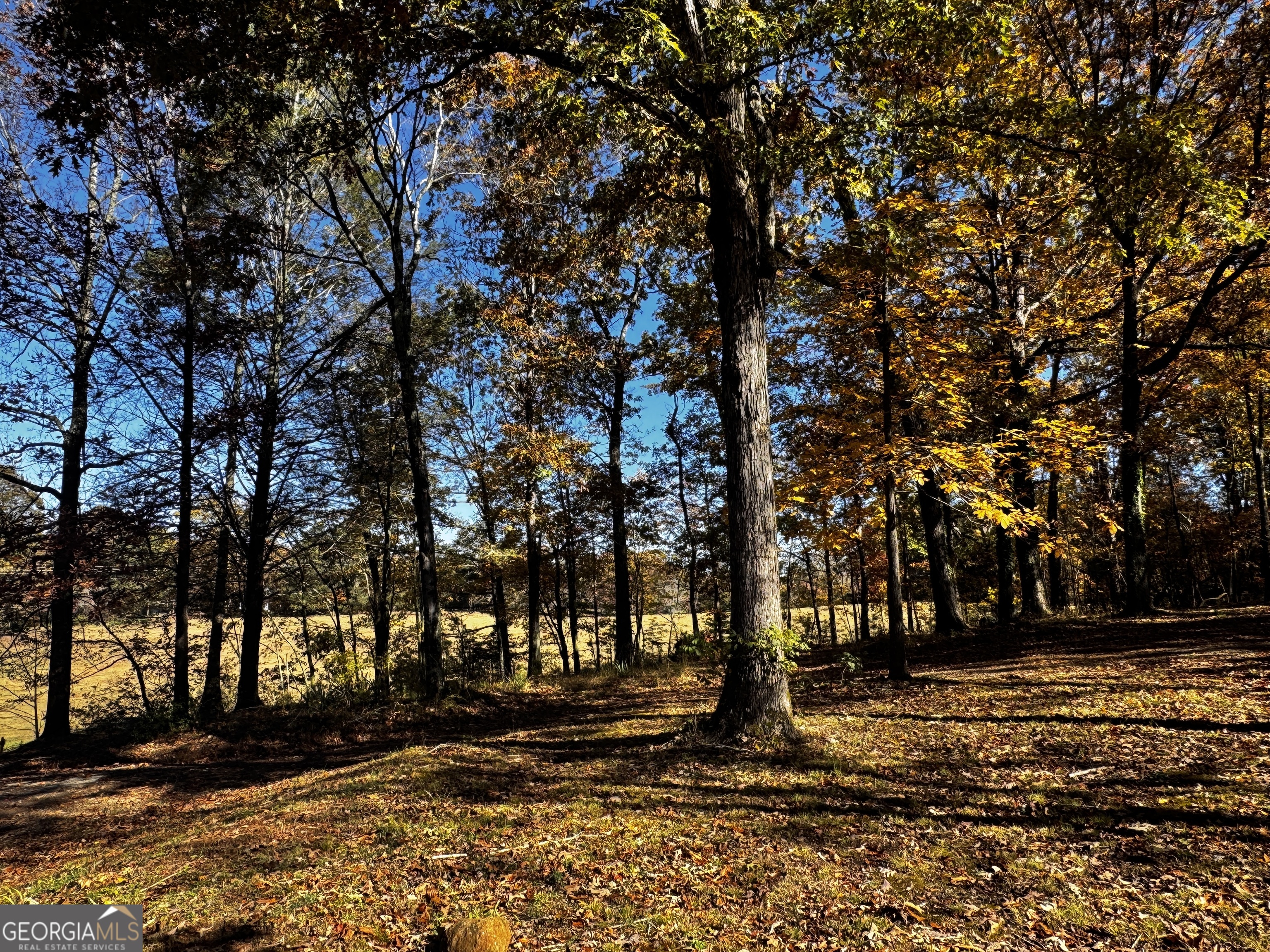 22 Ilene Drive Cleveland, GA 30528 - Photo 13 of 53 a view of a yard