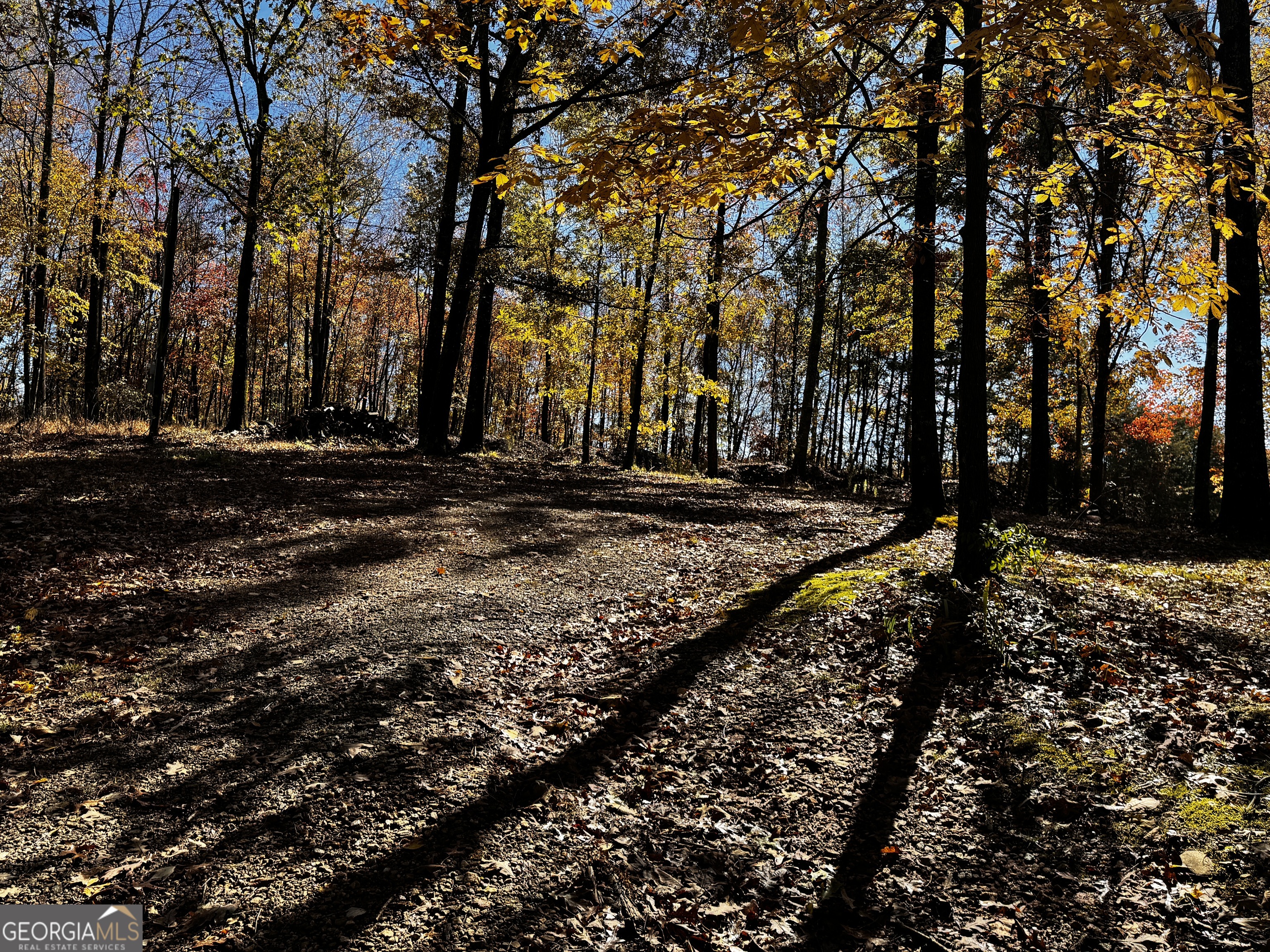 22 Ilene Drive Cleveland, GA 30528 - Photo 14 of 53 a view of a yard with trees
