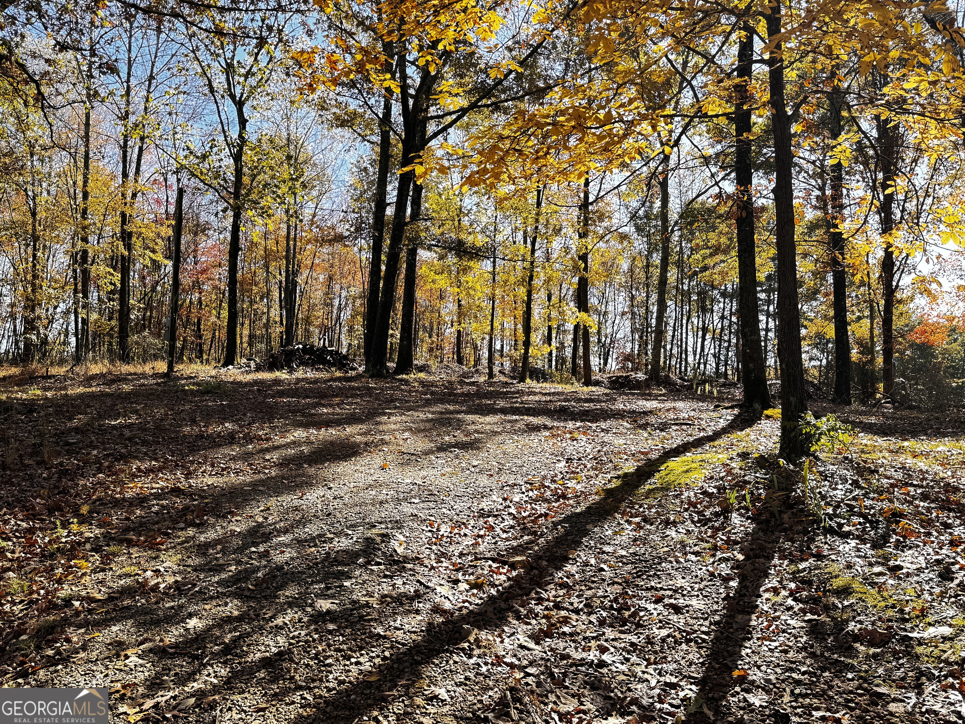 22 Ilene Drive Cleveland, GA 30528 - Photo 15 of 53 a view of park space