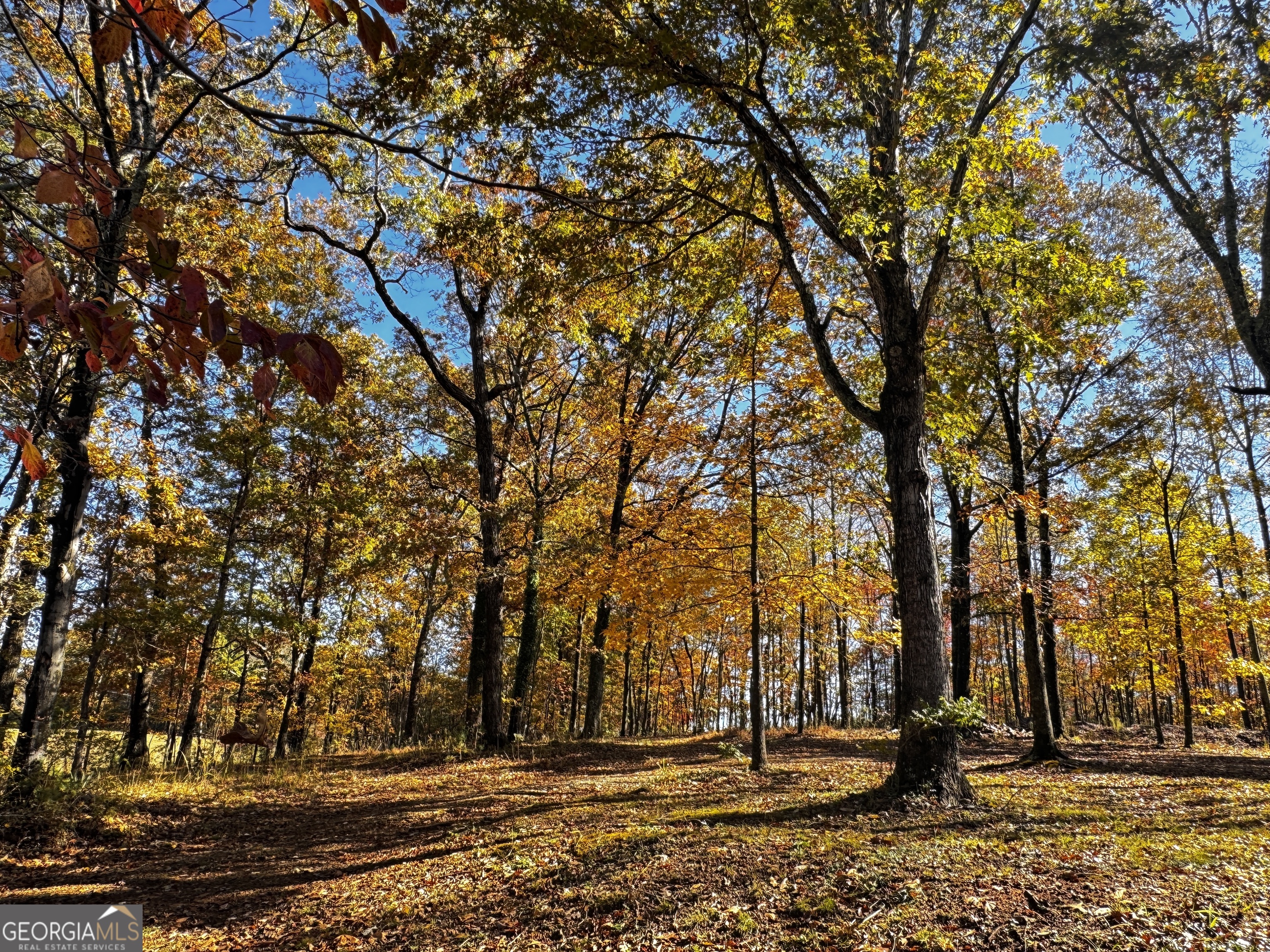22 Ilene Drive Cleveland, GA 30528 - Photo 17 of 53 a view of outdoor space with city view
