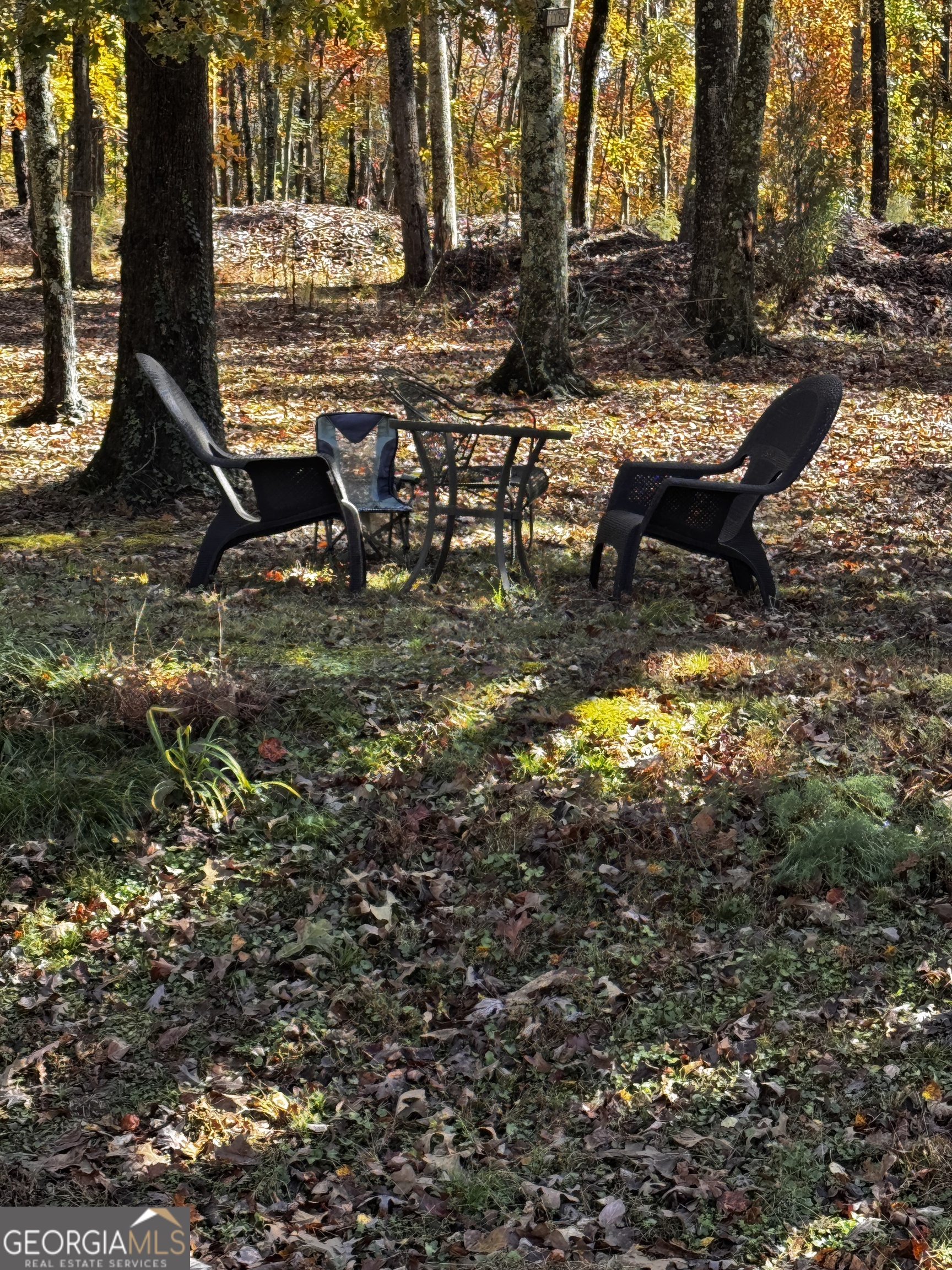 22 Ilene Drive Cleveland, GA 30528 - Photo 19 of 53 a view of a yard with table and chairs