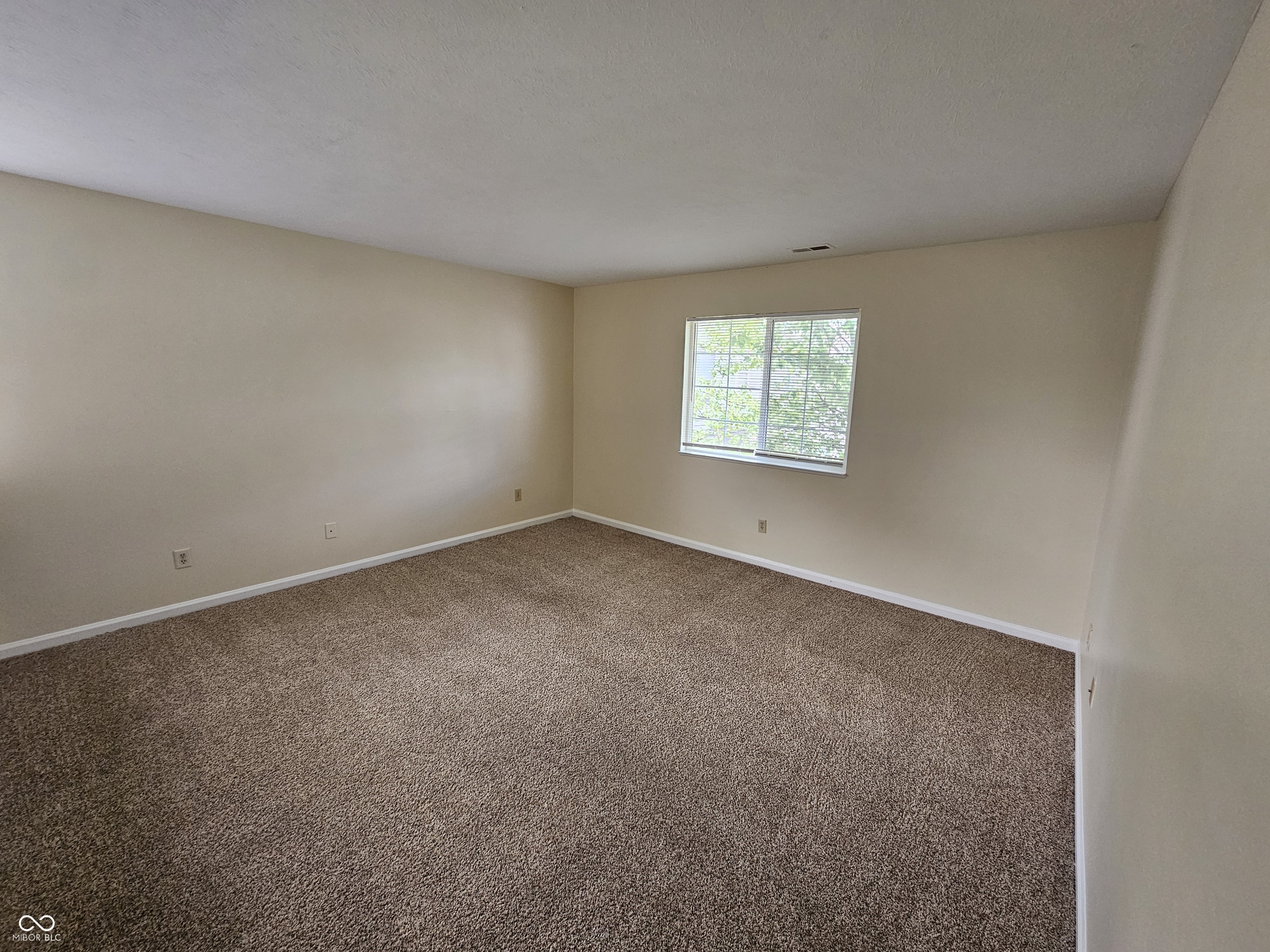4650 Falcon Run Way Indianapolis, IN 46254 - Photo 13 of 25
