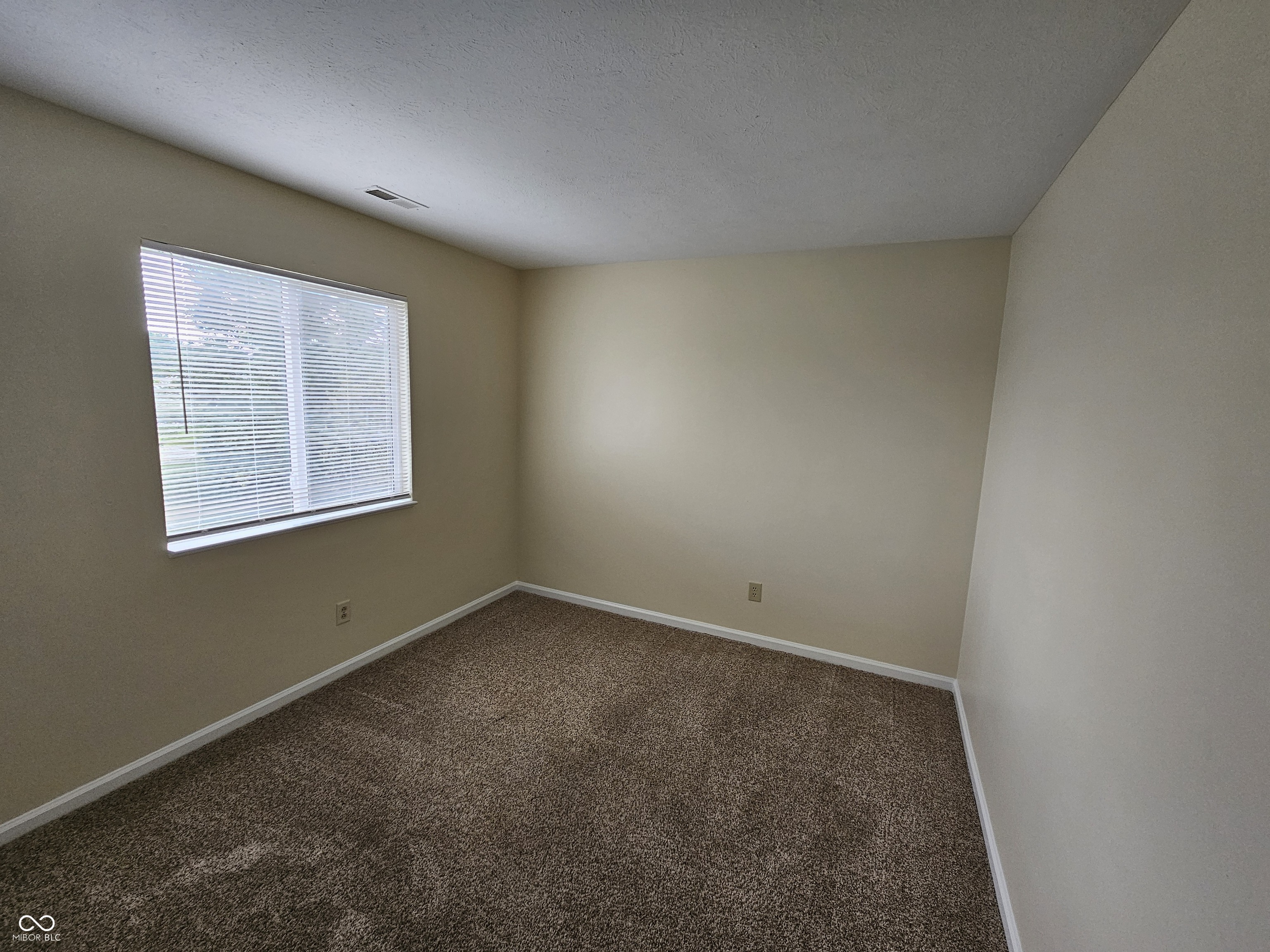 4650 Falcon Run Way Indianapolis, IN 46254 - Photo 19 of 25