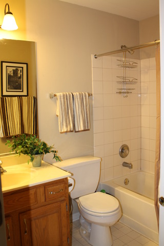 8251 Ripple Ridge Darien, IL 60561 - Photo 17 of 24 a bathroom with a sink toilet and shower