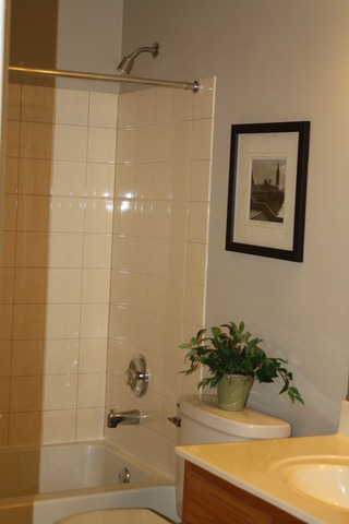 8251 Ripple Ridge Darien, IL 60561 - Photo 20 of 24 a bathroom with a sink and a mirror
