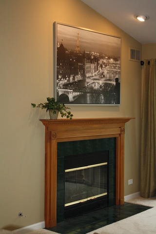 8251 Ripple Ridge Darien, IL 60561 - Photo 10 of 24 a living room with a fireplace and a floor to ceiling window