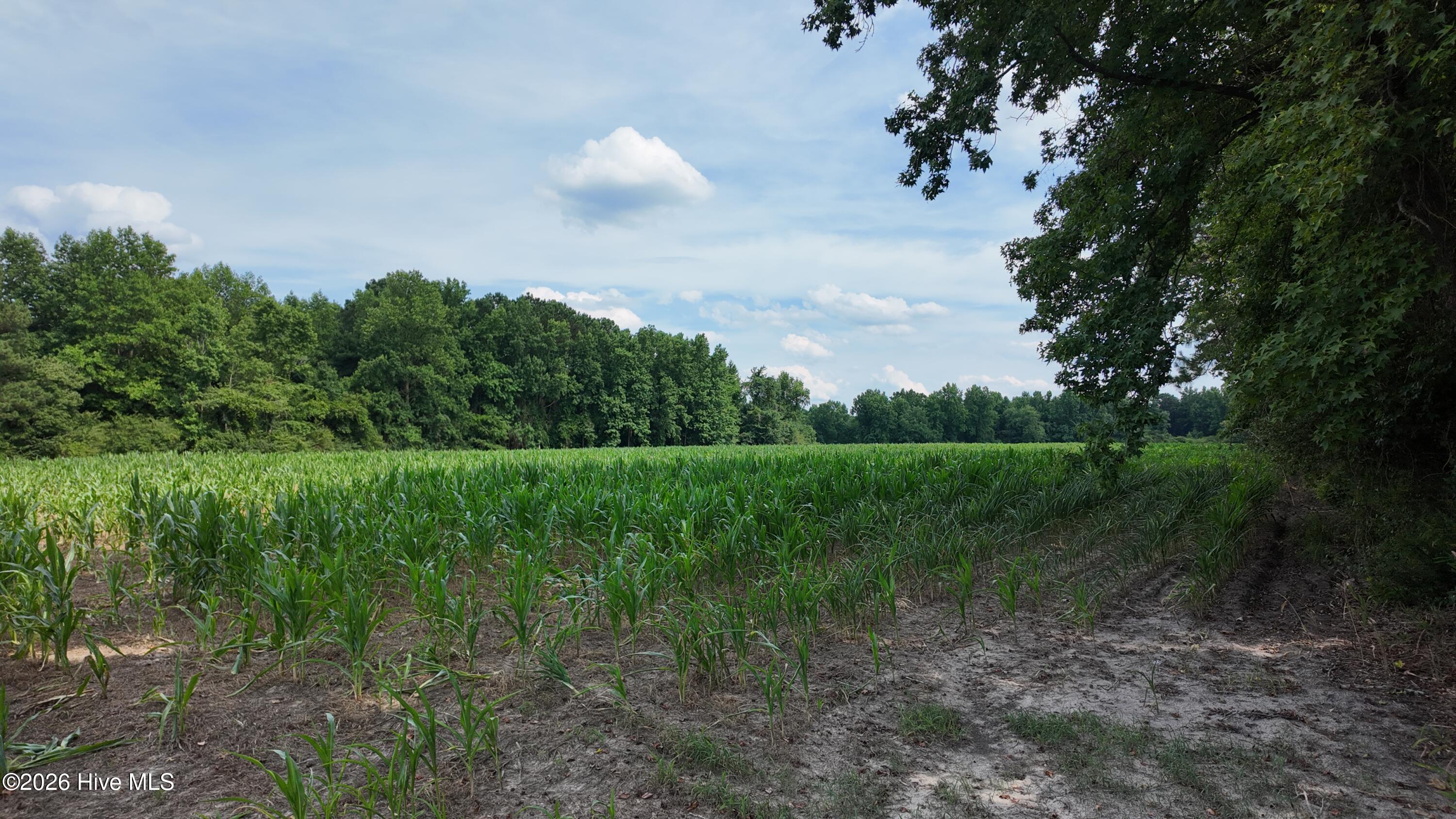 1817 Off S/ Road South Chinquapin, NC 28521 - Photo 10 of 10