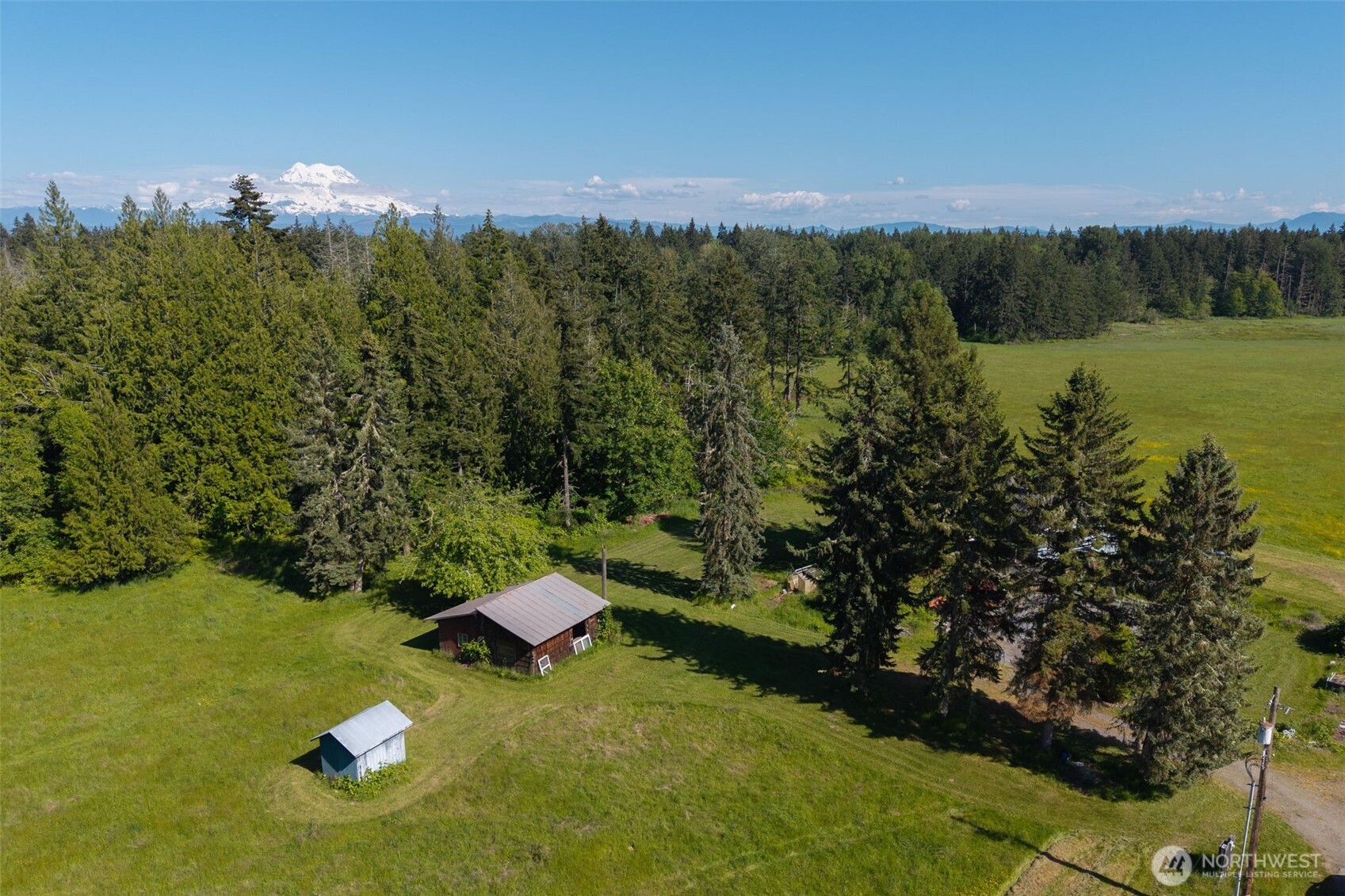 1716 304th Street East Roy, WA 98580 - Photo 14 of 21 a view of a lush green forest