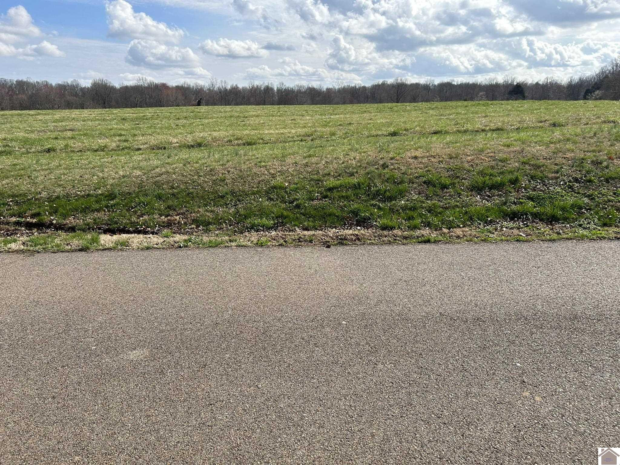 824 Walnut Road Boaz, KY 42027 - Photo 8 of 9 Photo 8