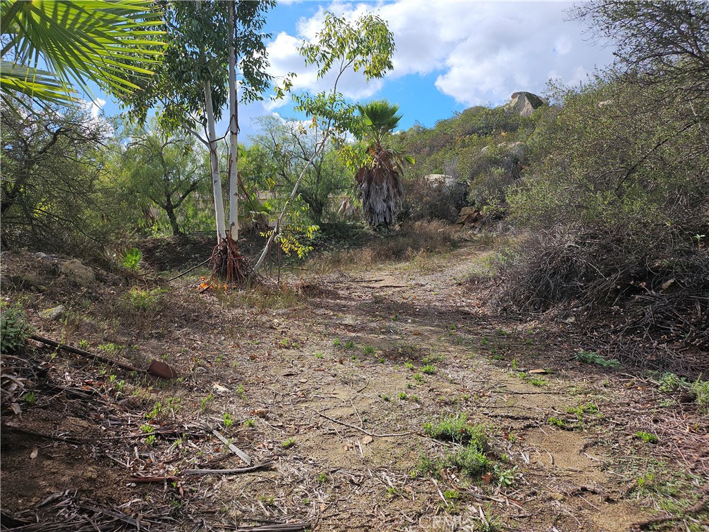 0 Day Lane Temecula, CA 92590 - Photo 5 of 13 a view of a yard with a tree